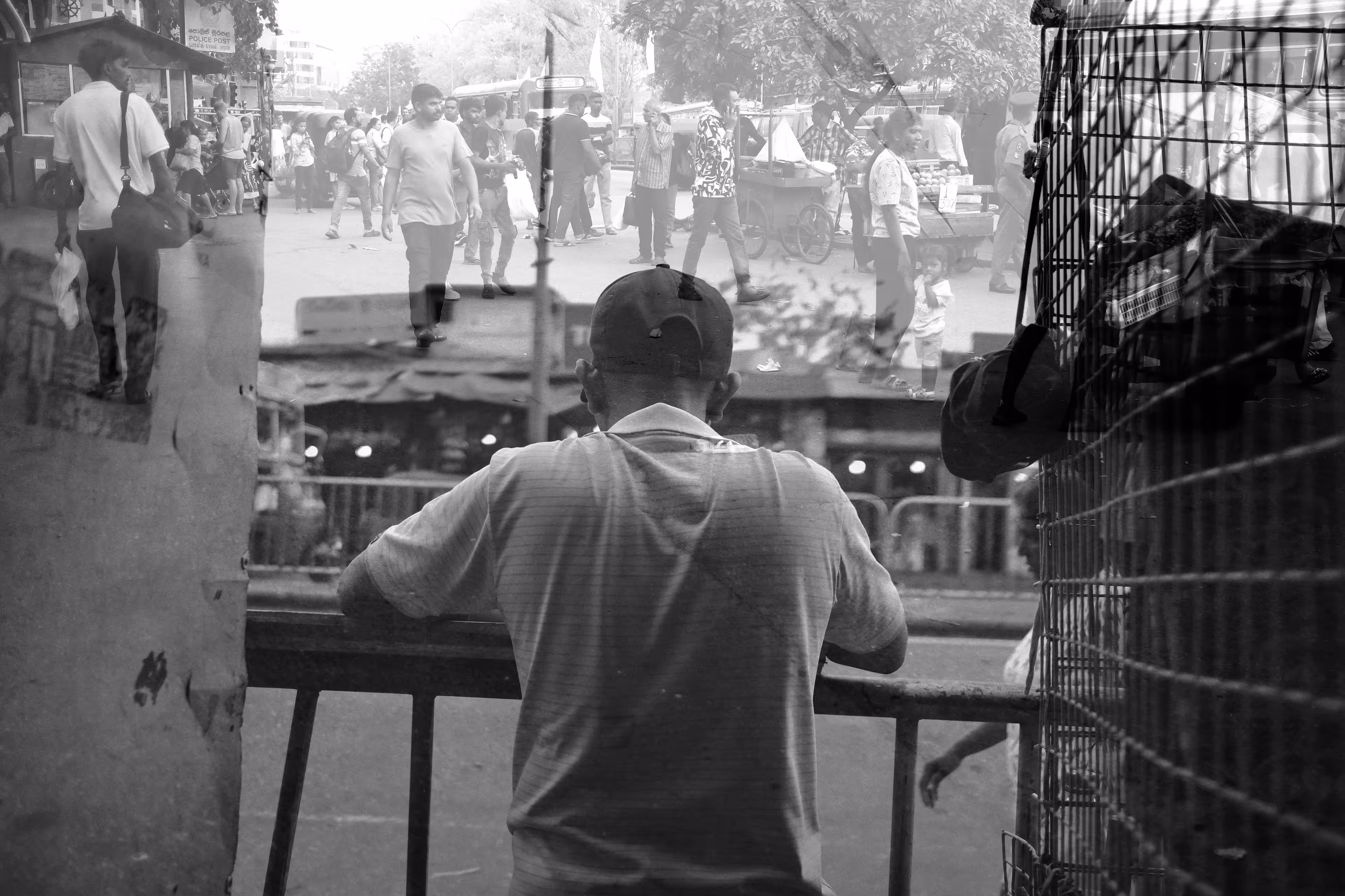 Against the crowd