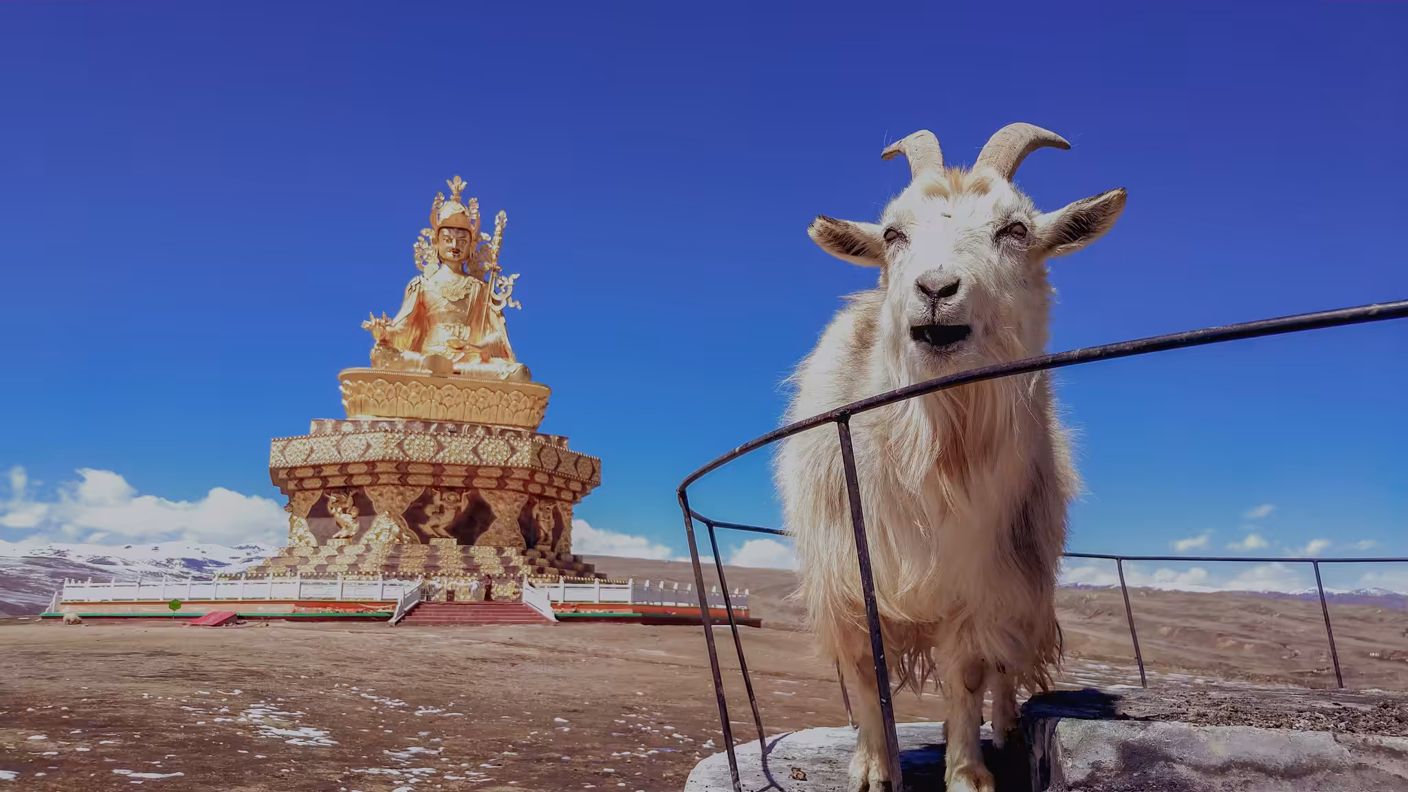 Tibet #6