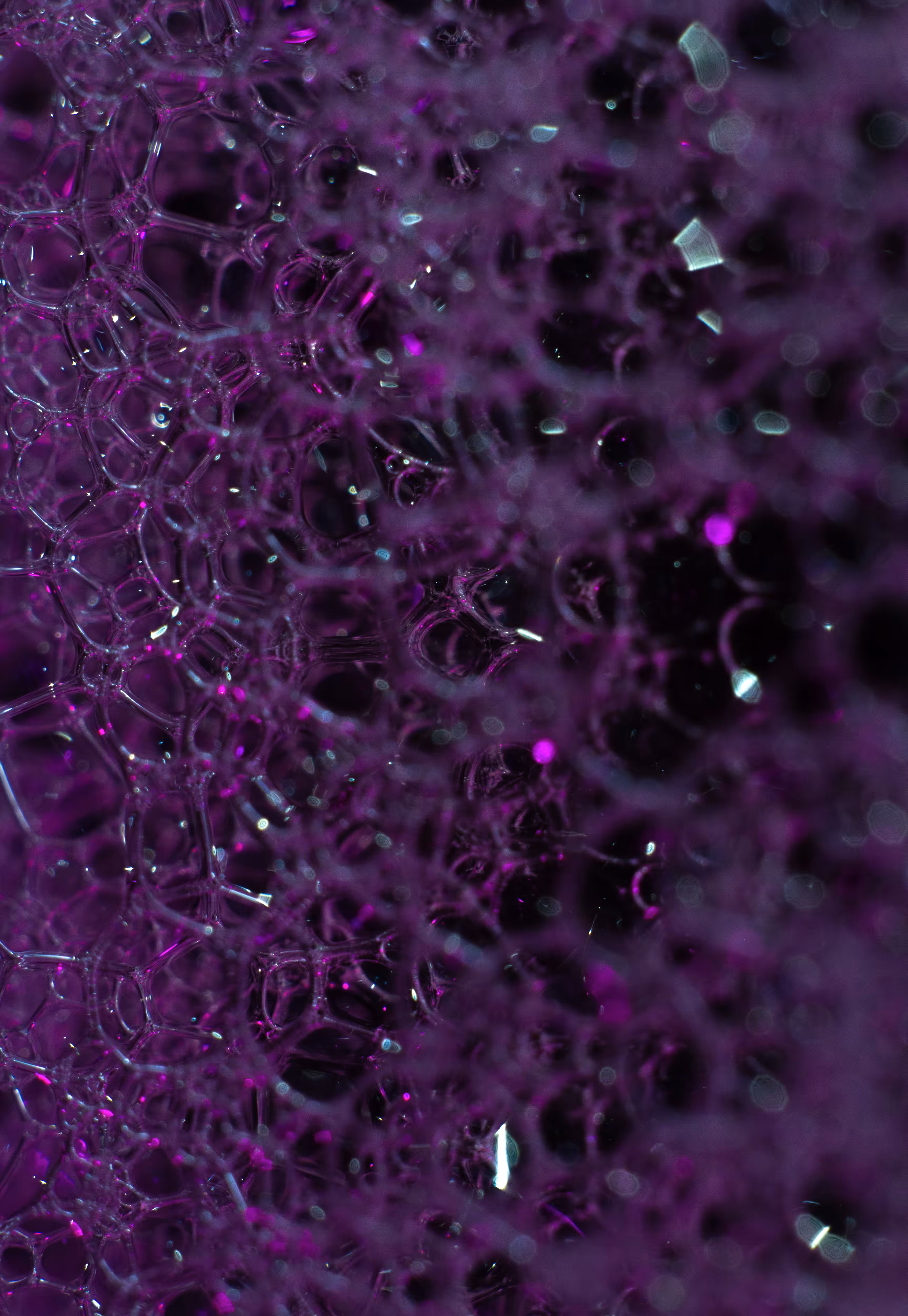 Abstract World of Soap Bubbles: #83 Bubbles