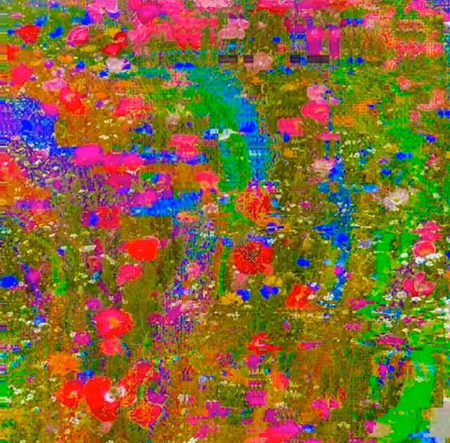 Wildflowers #11