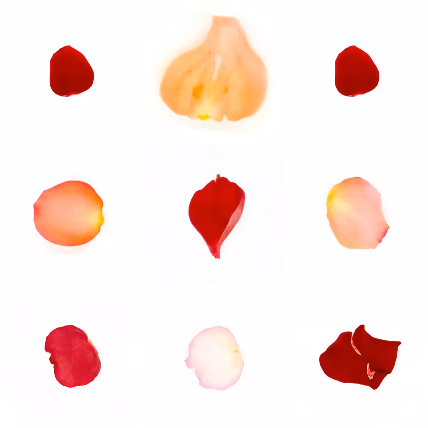 Infinite Petals 3x3#2850