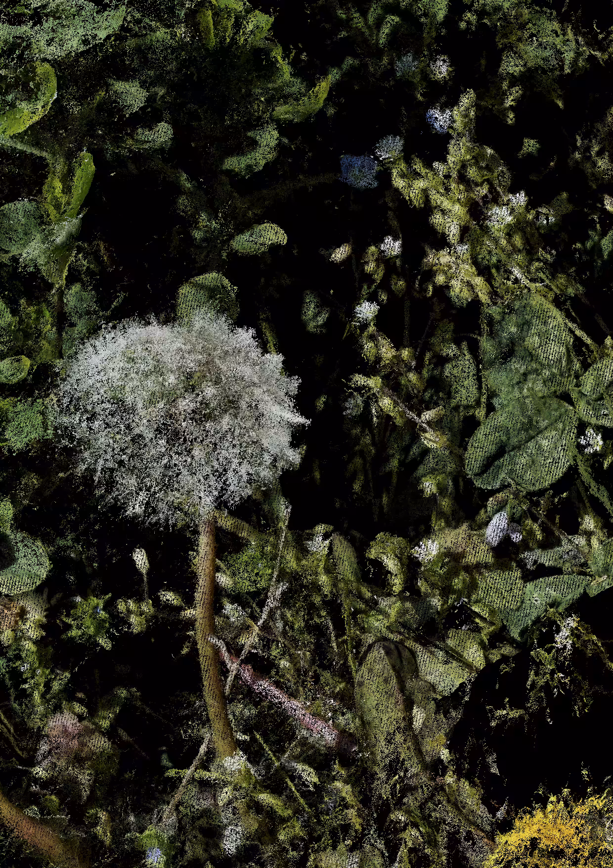 Overgrowth 0021