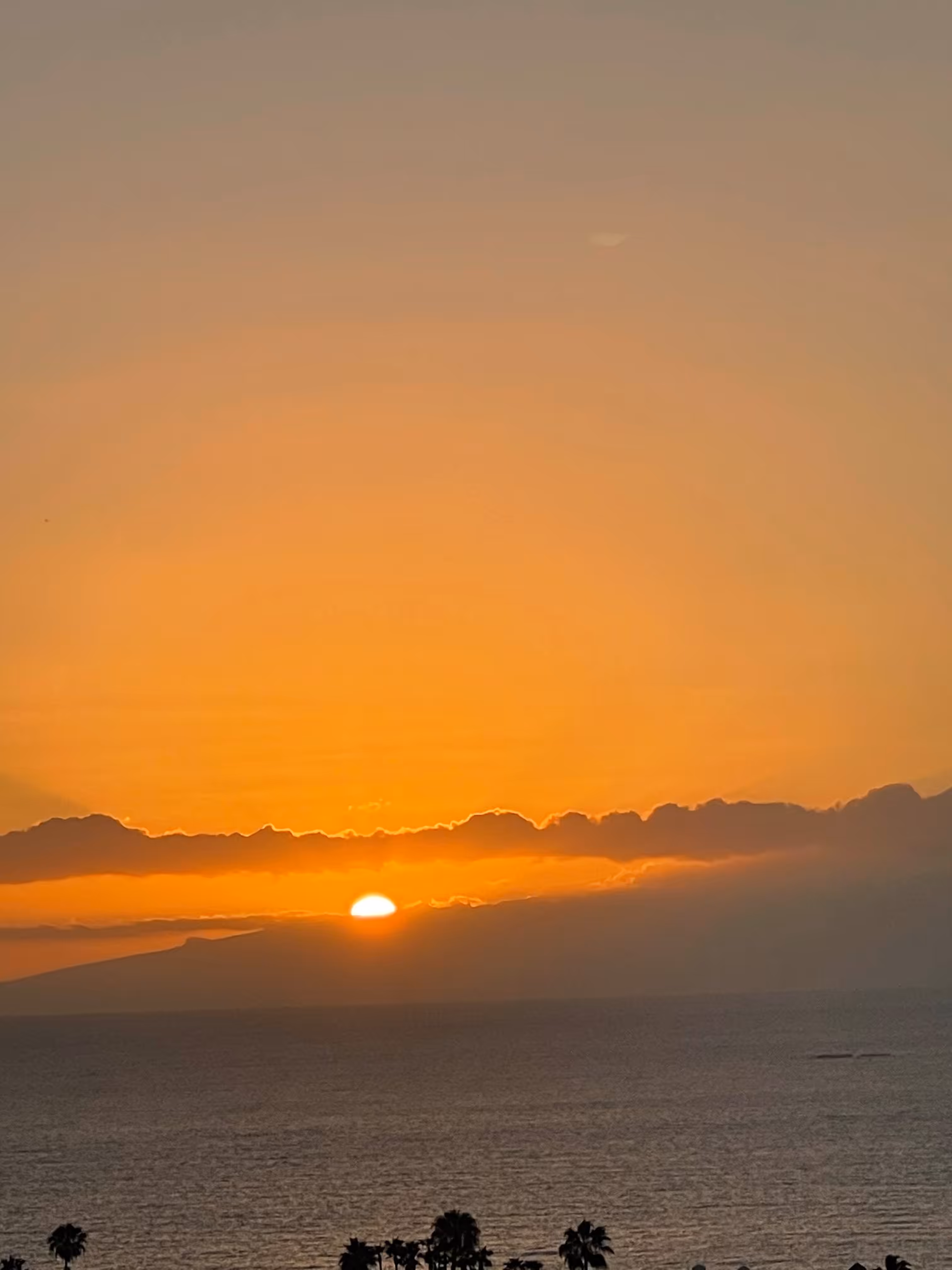 sunset4