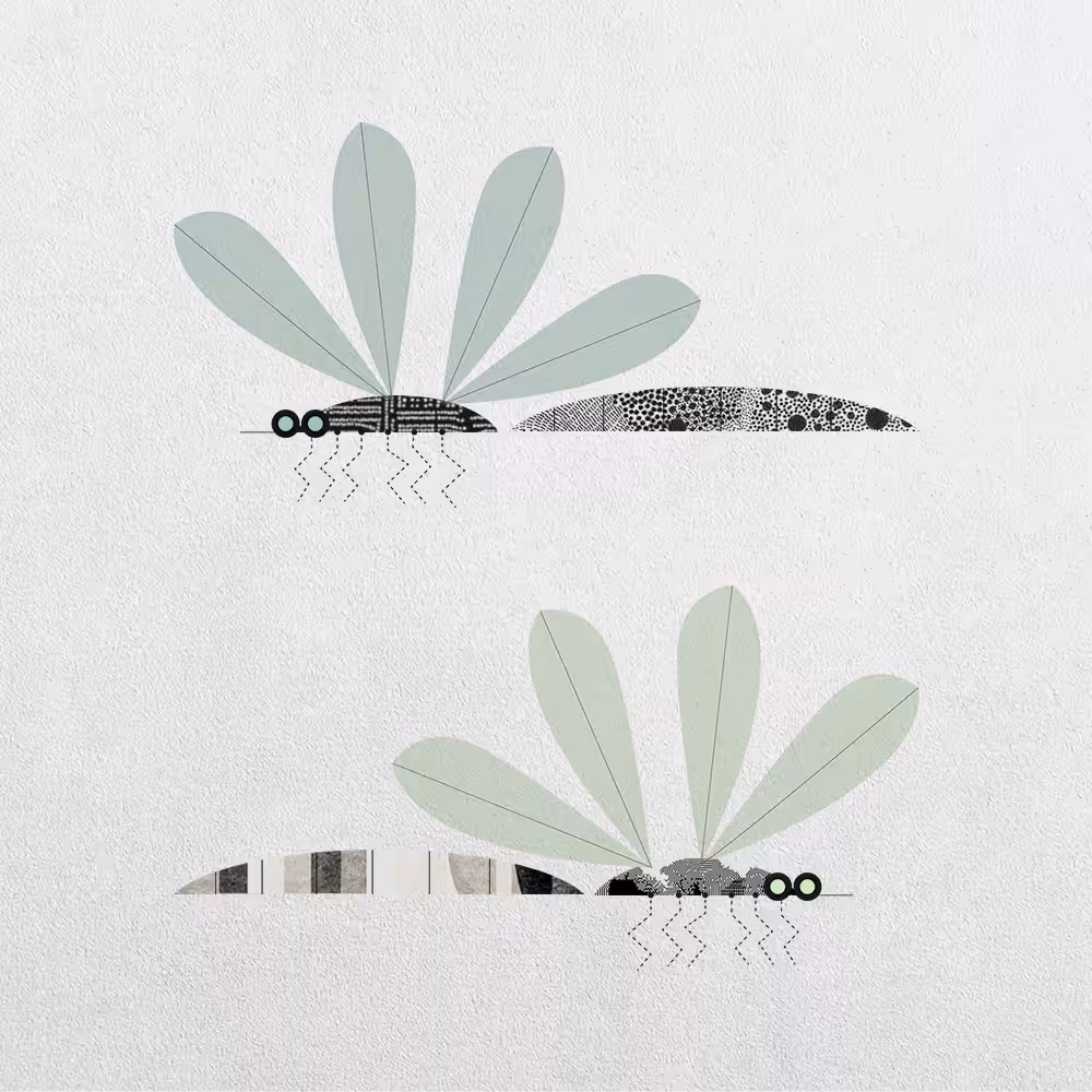 Mosquito Abstraction #28