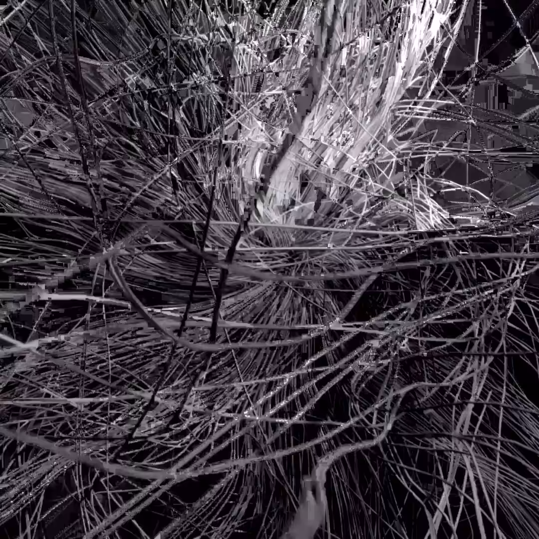 _ untitled