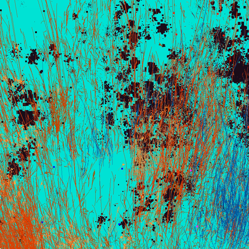 Infinite Garden: 43821 Flowers
