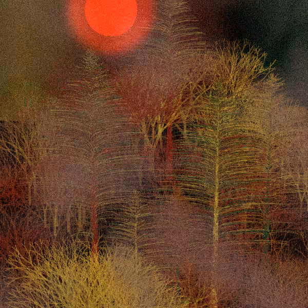 Moonlit Native Bush #99