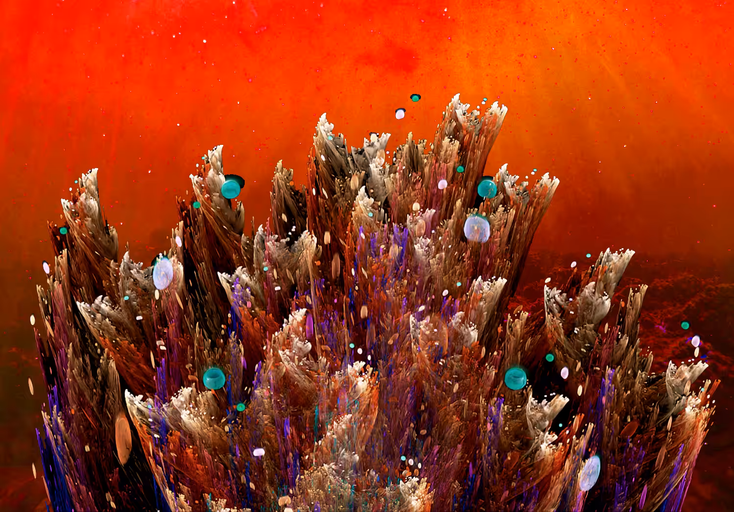 coral heat