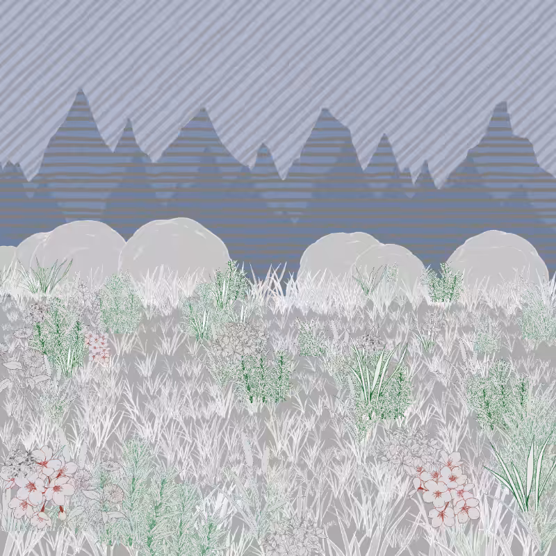 Mountain Meadows #22