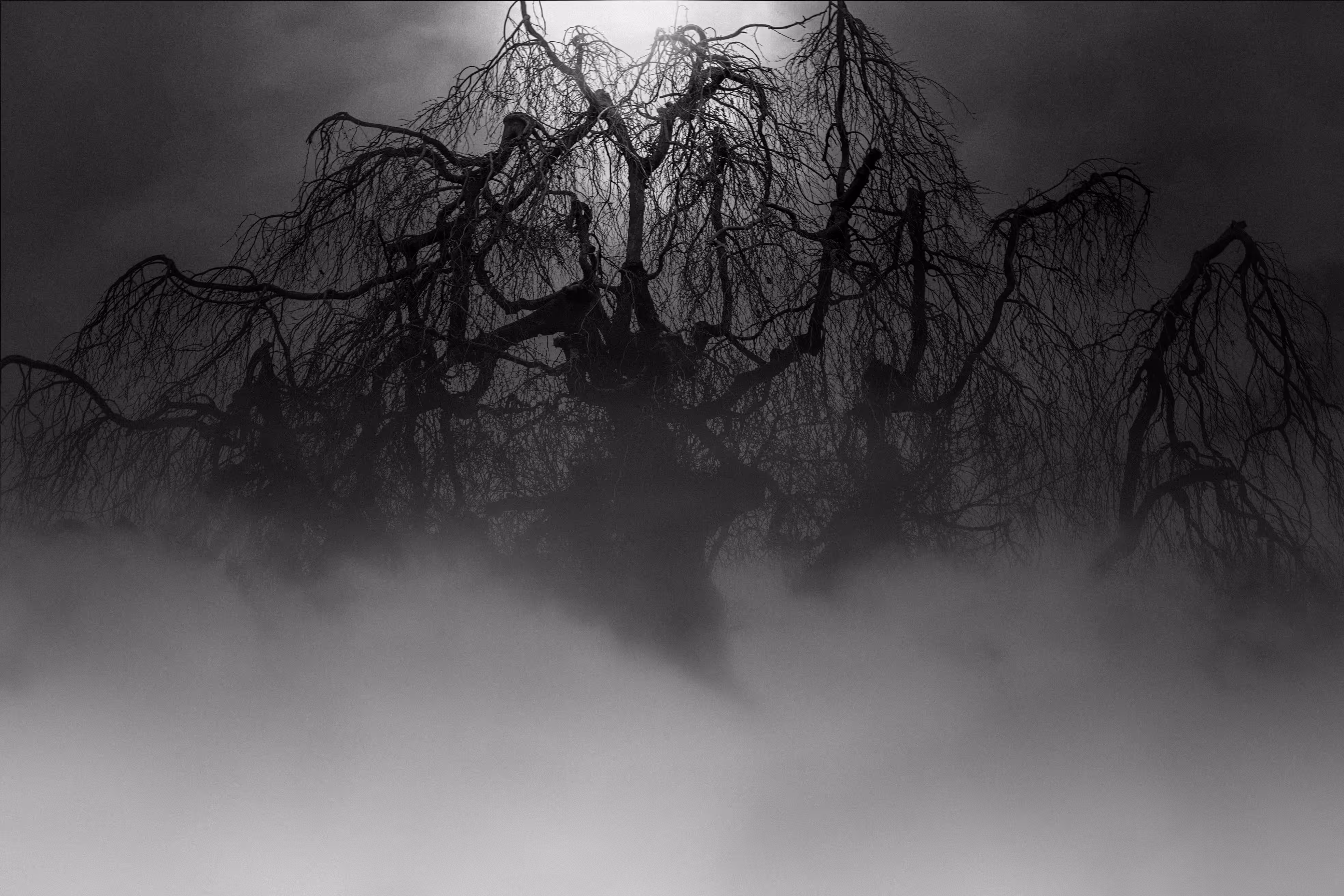 The Monster In The Mist