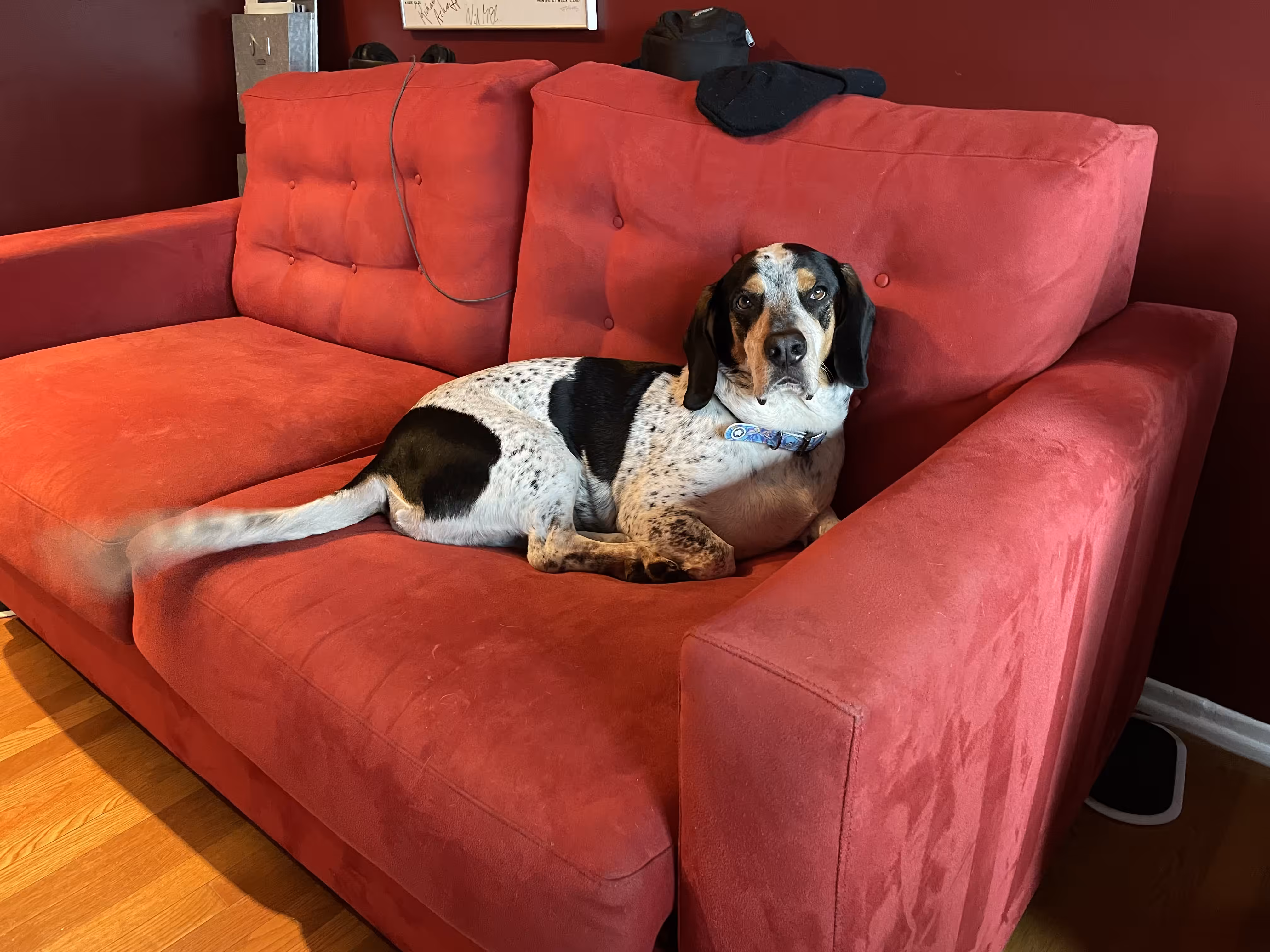 Buster