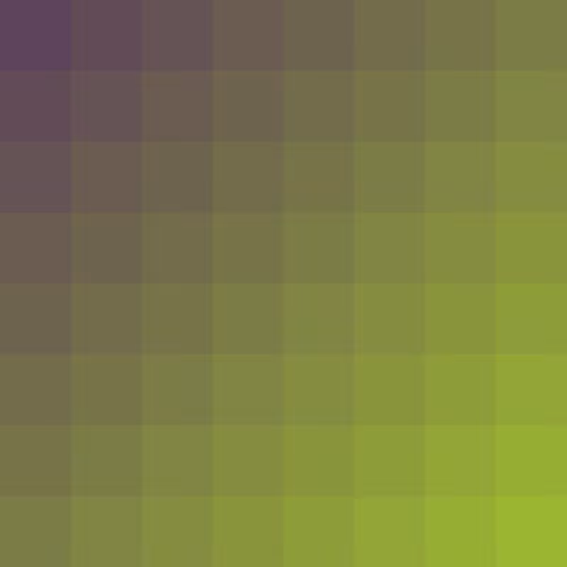 Primal Pixels #30