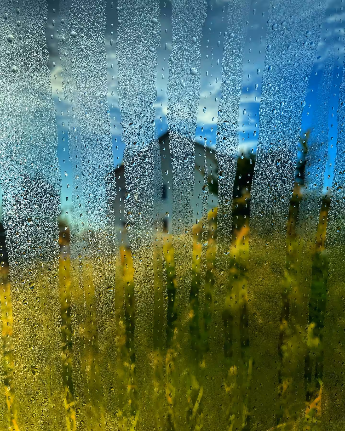 Rain painting : Rain Painting #0003