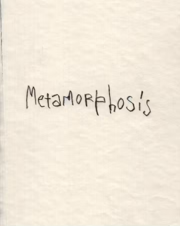 Metamorphosis