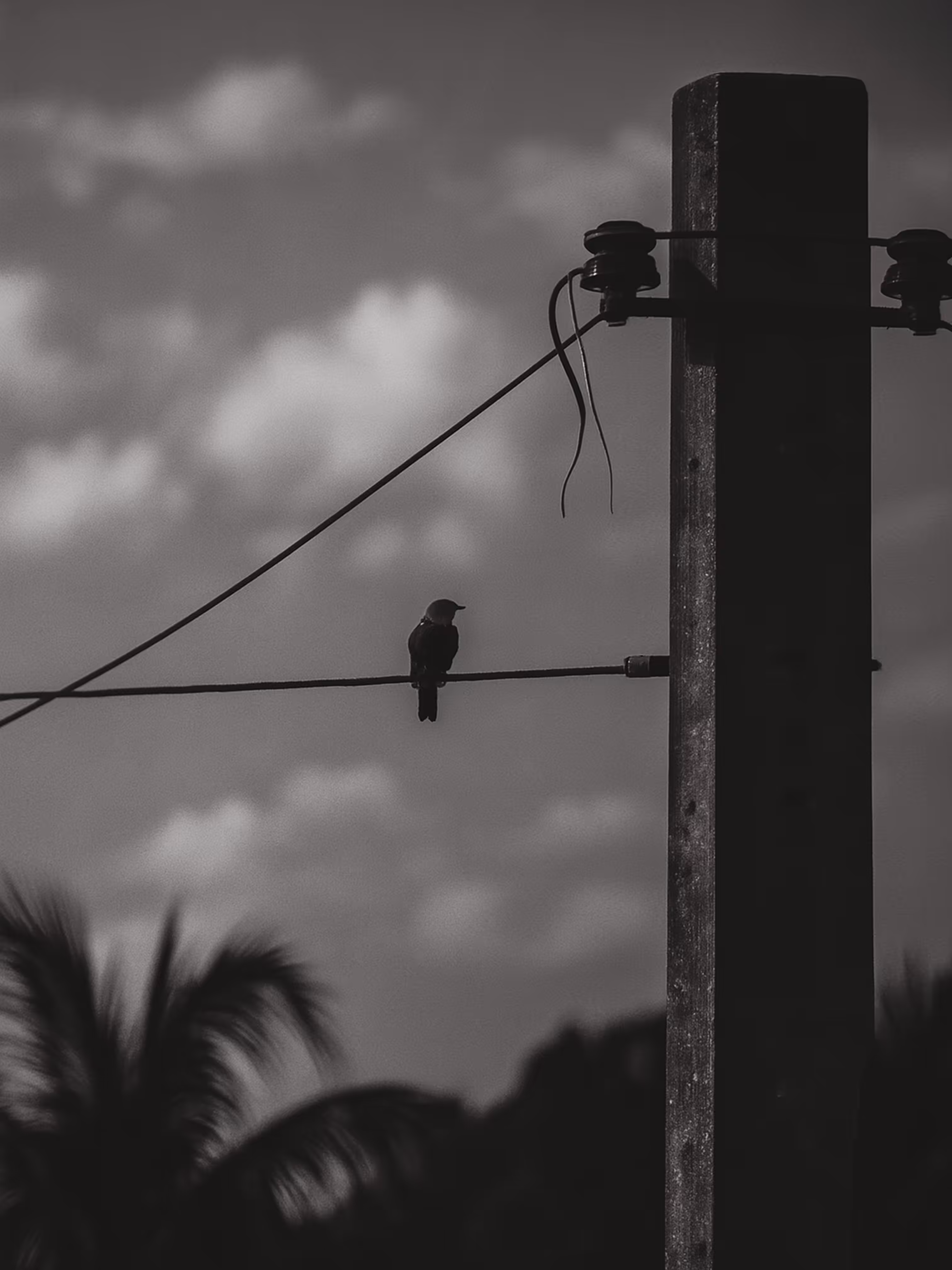 Geometry of Solitude
