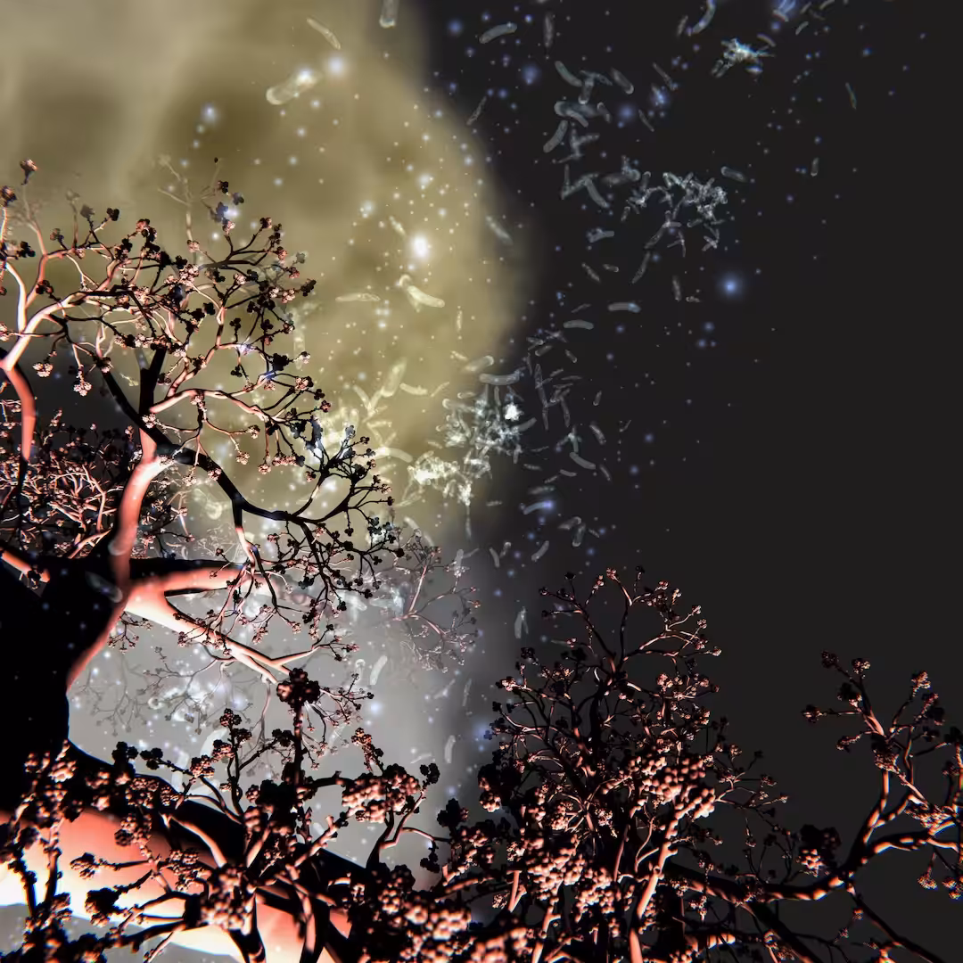 Susceptible 02