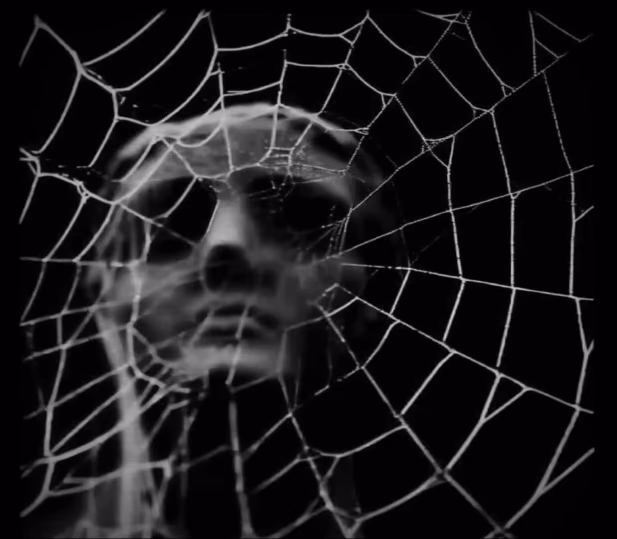 Art of Chaos - Arachnophobia