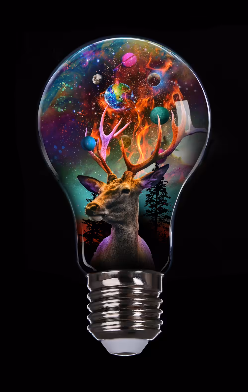 In Light of Nature
