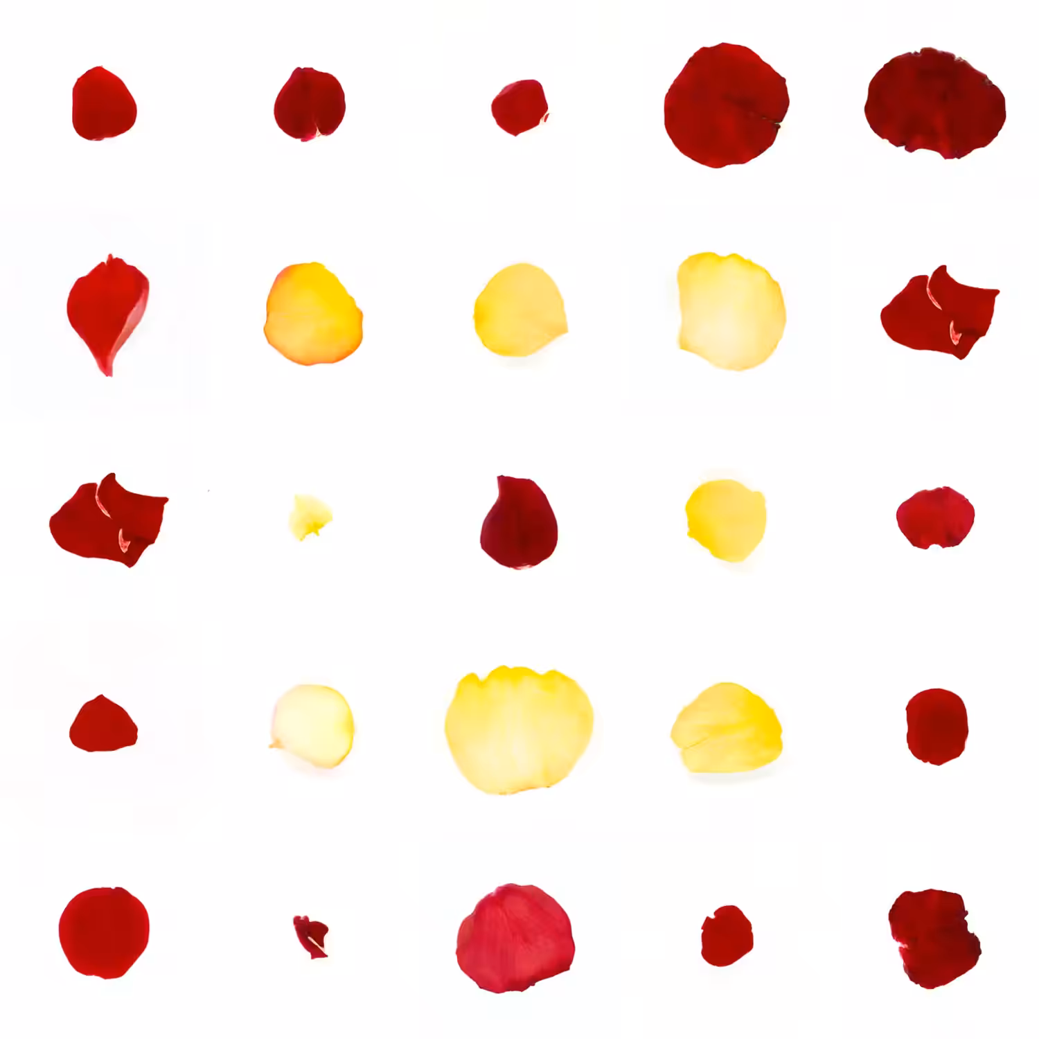 Infinite Petals 5x5#1438