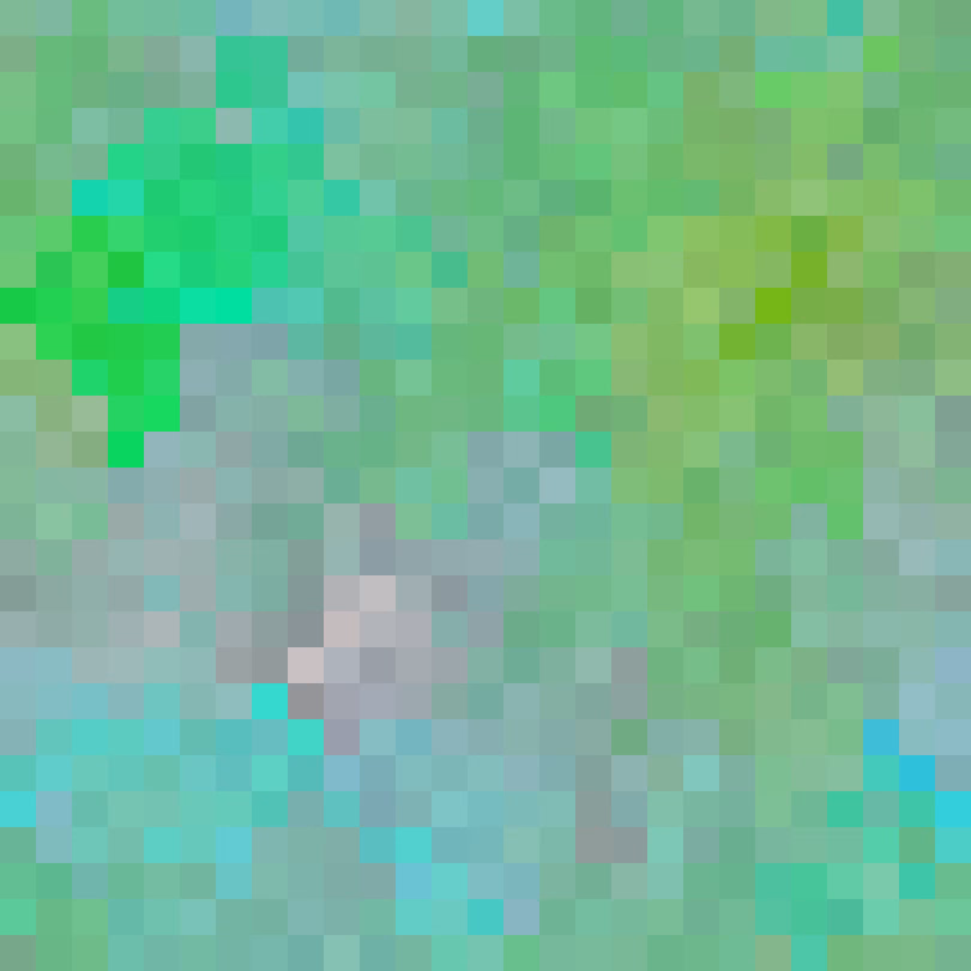 Entropy Locked Wave Function Collapse #48