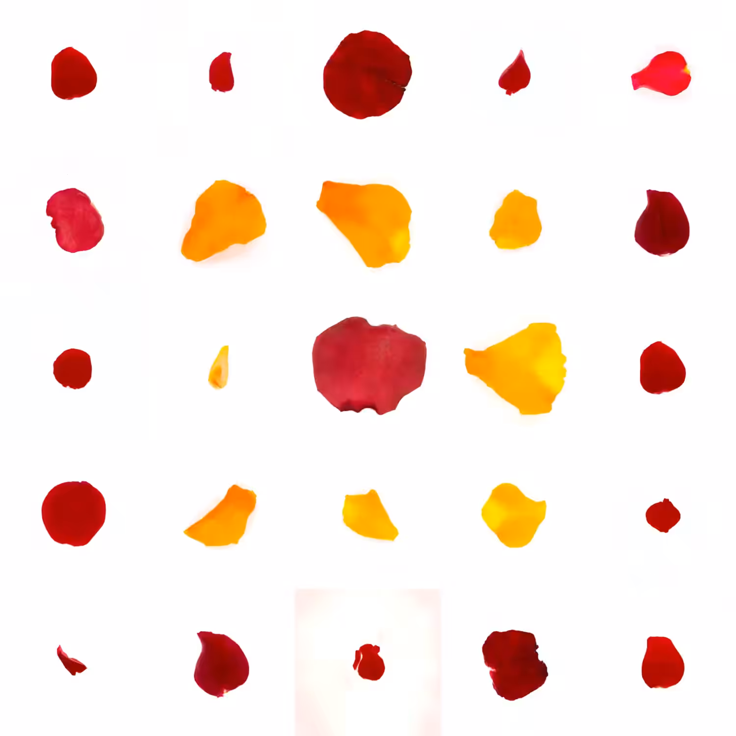 Infinite Petals 5x5#20155