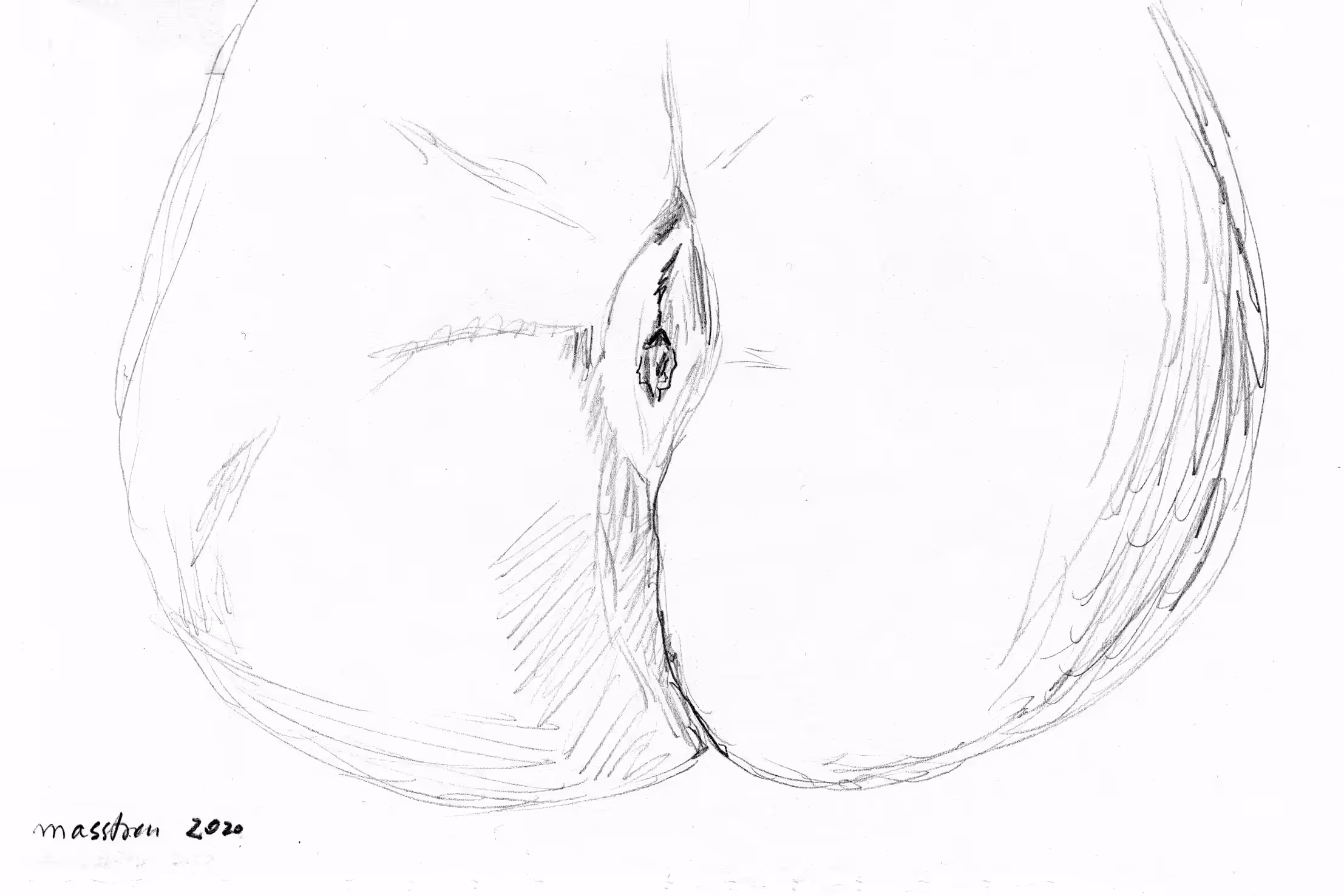 BUNCHIP Sketches: Study sheet N°8