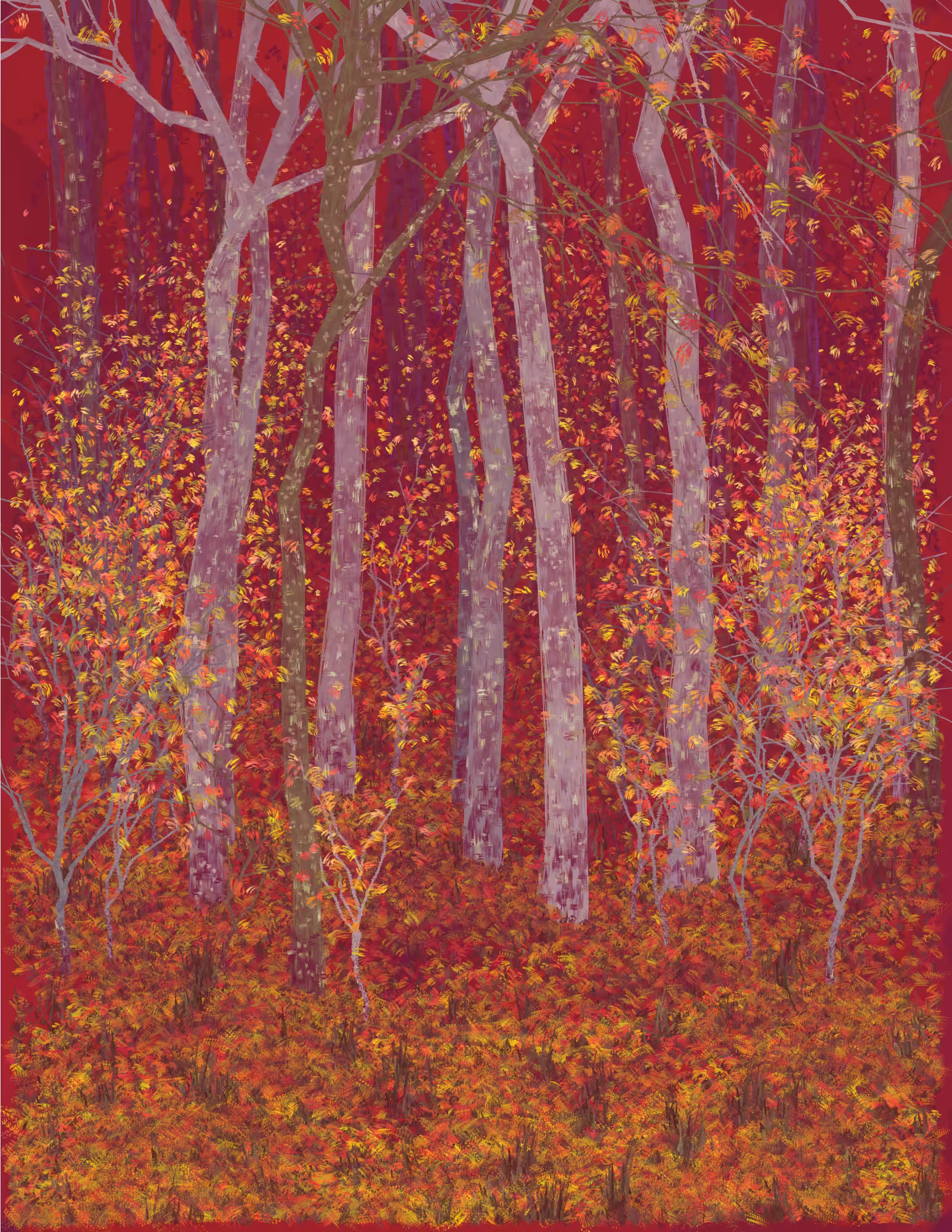 Deep Forest #35