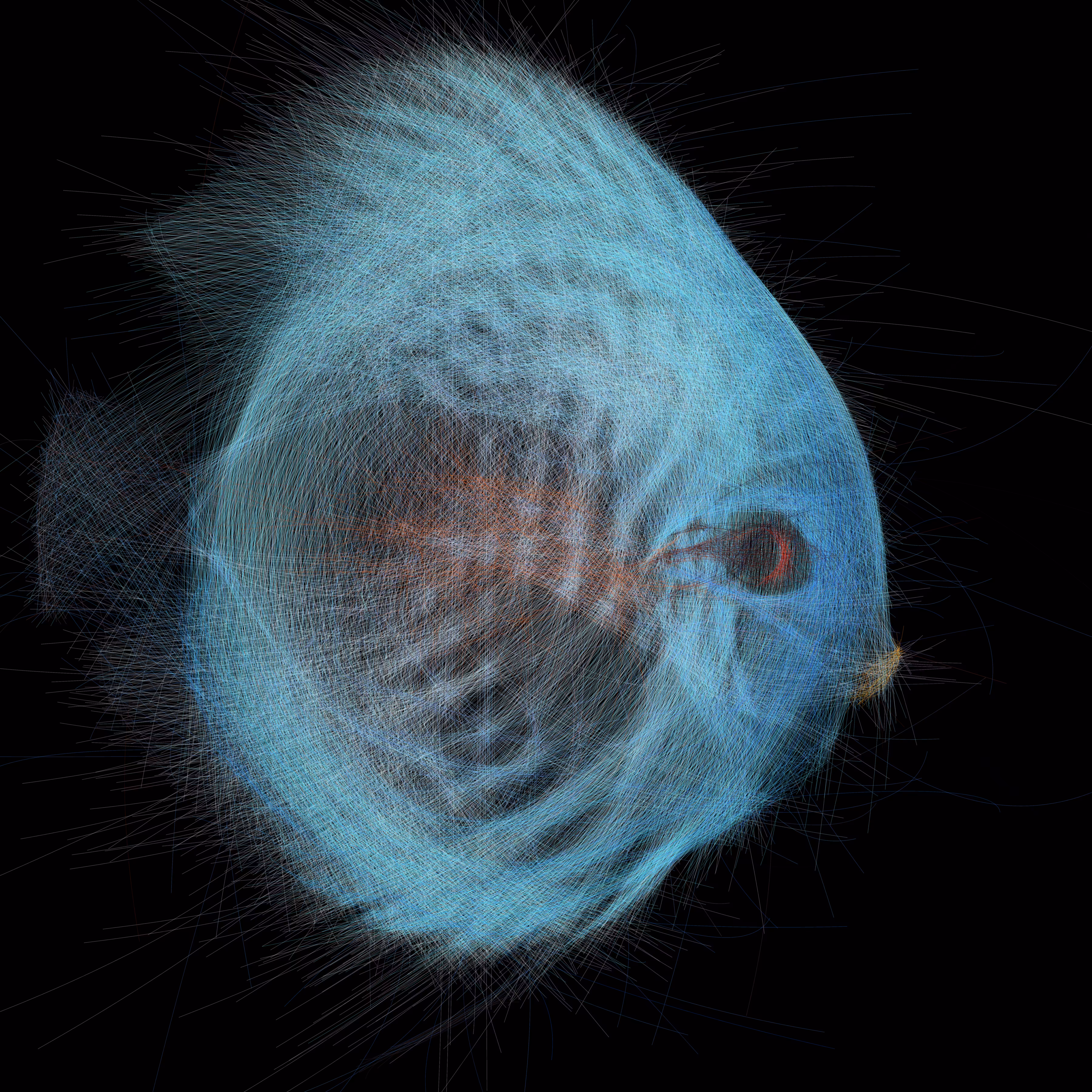 Underwater 280