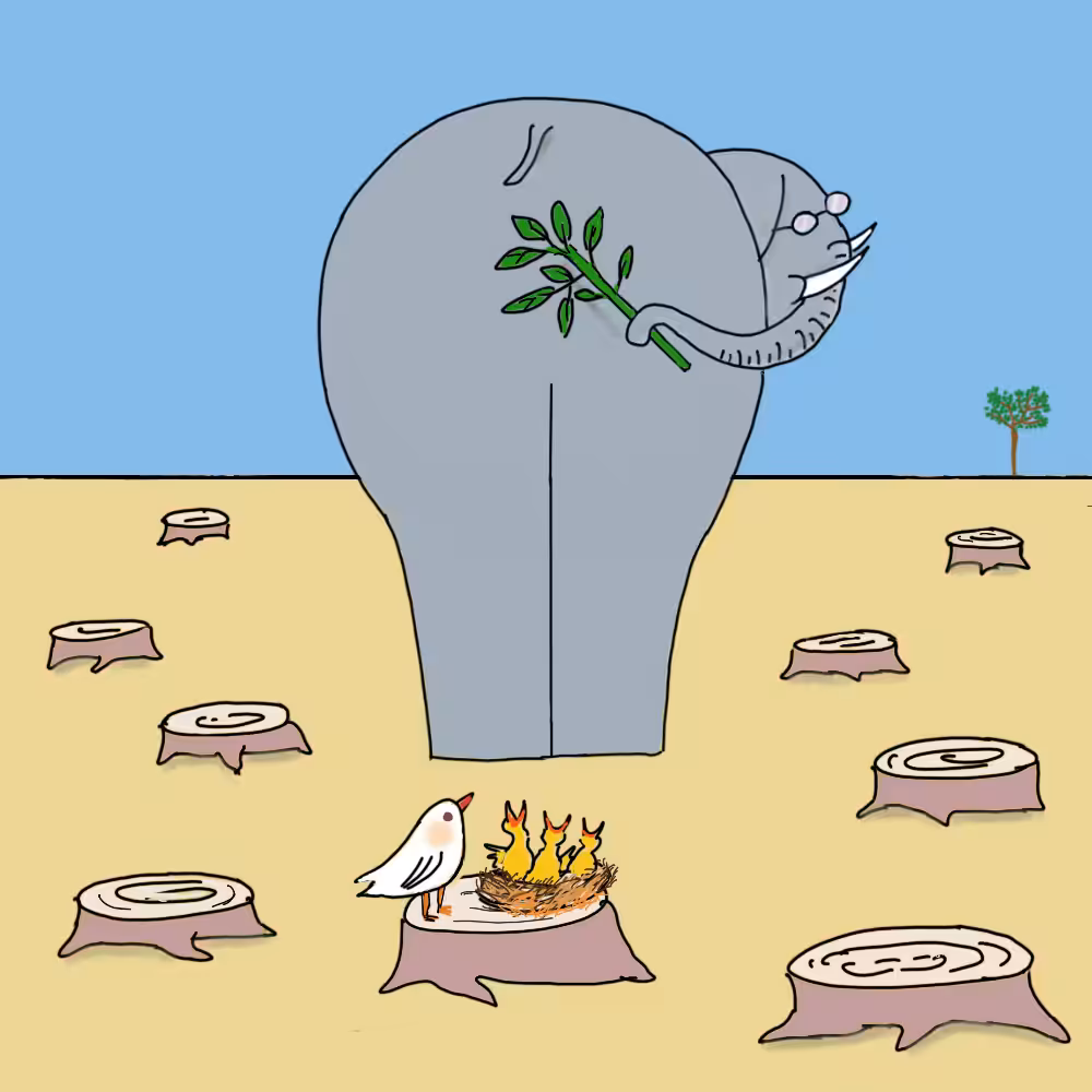 Elephant school #42