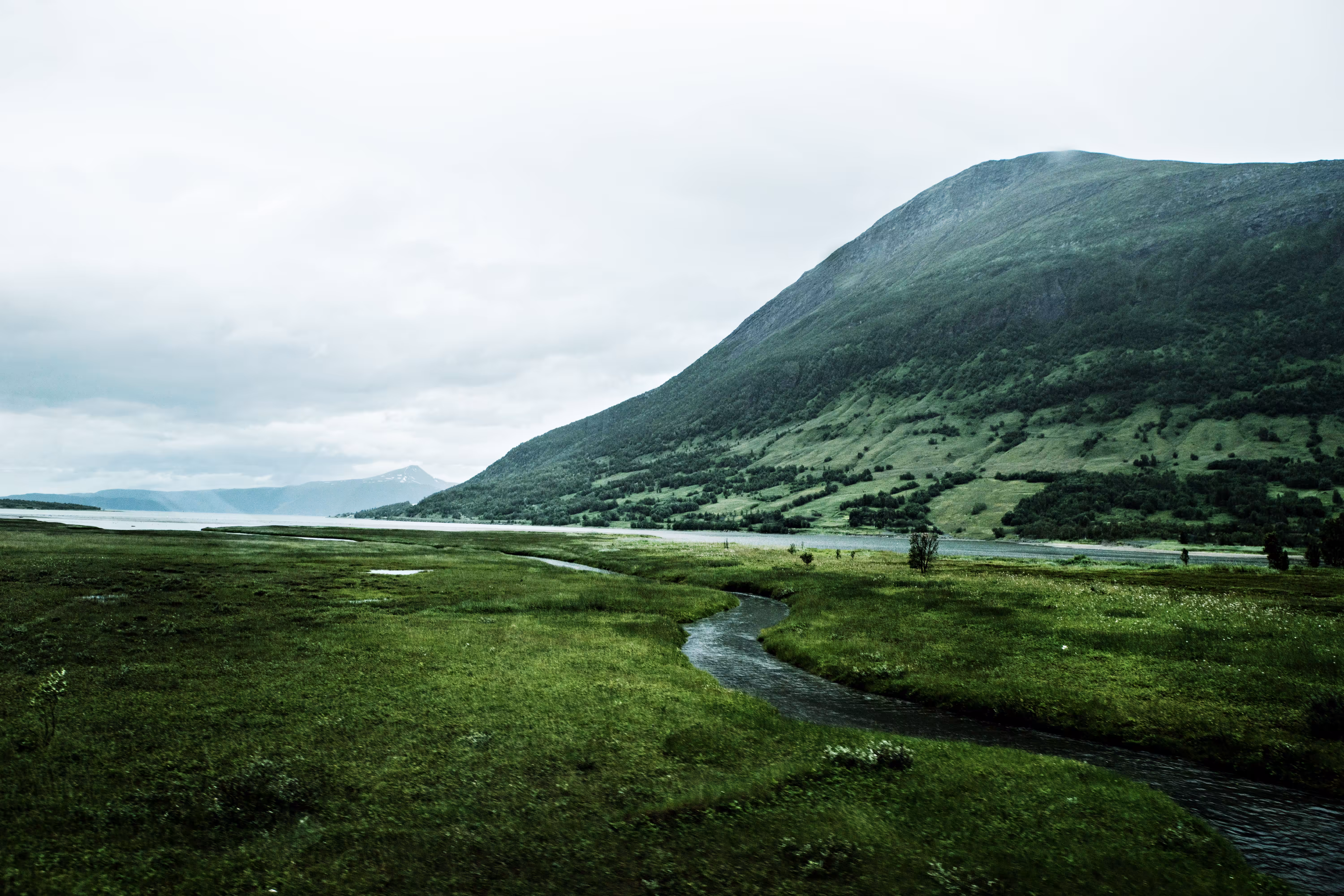The river