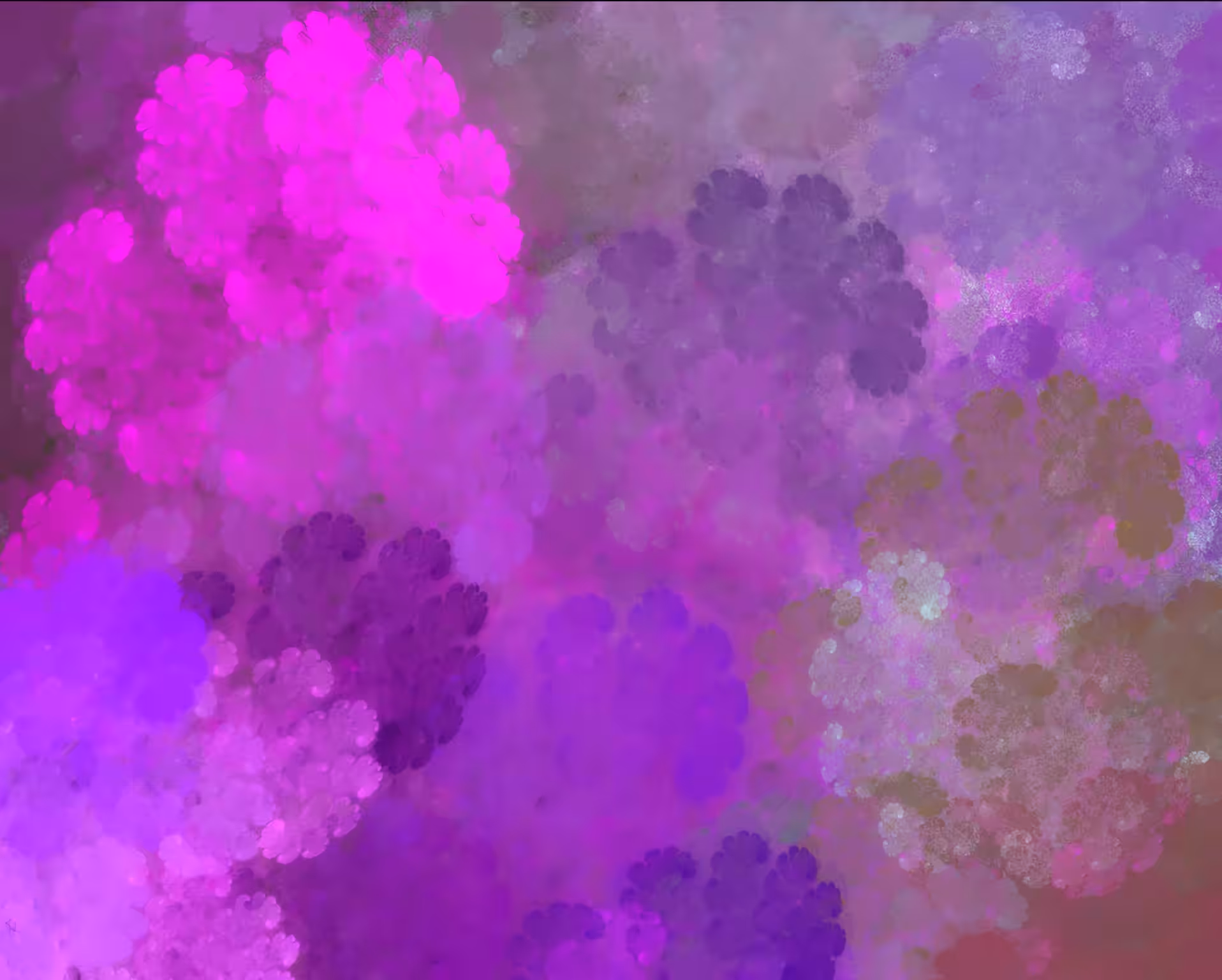 Raw Fractal Cuts - #017 - Fossilized Flora