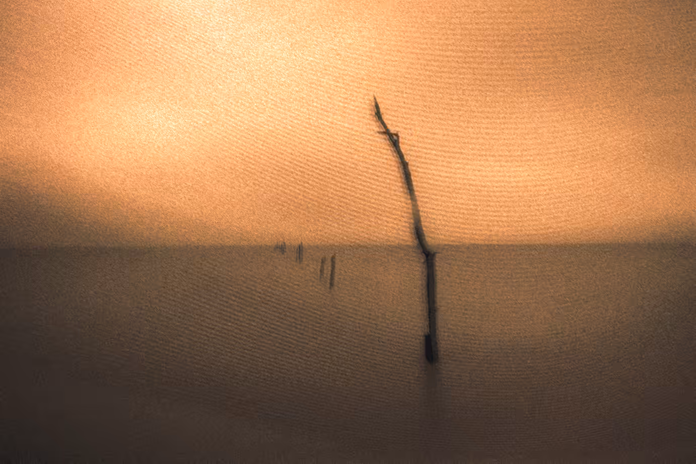 Golden Beach #2