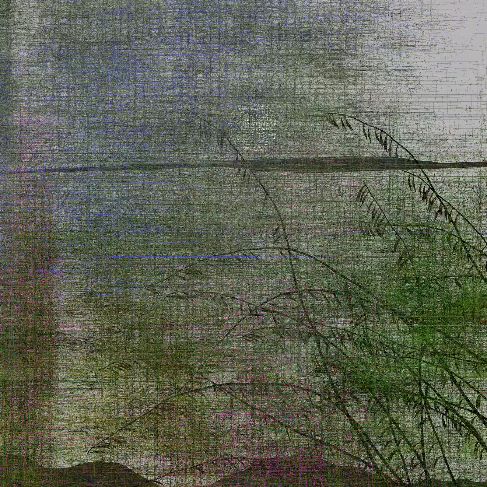 Echoes #64