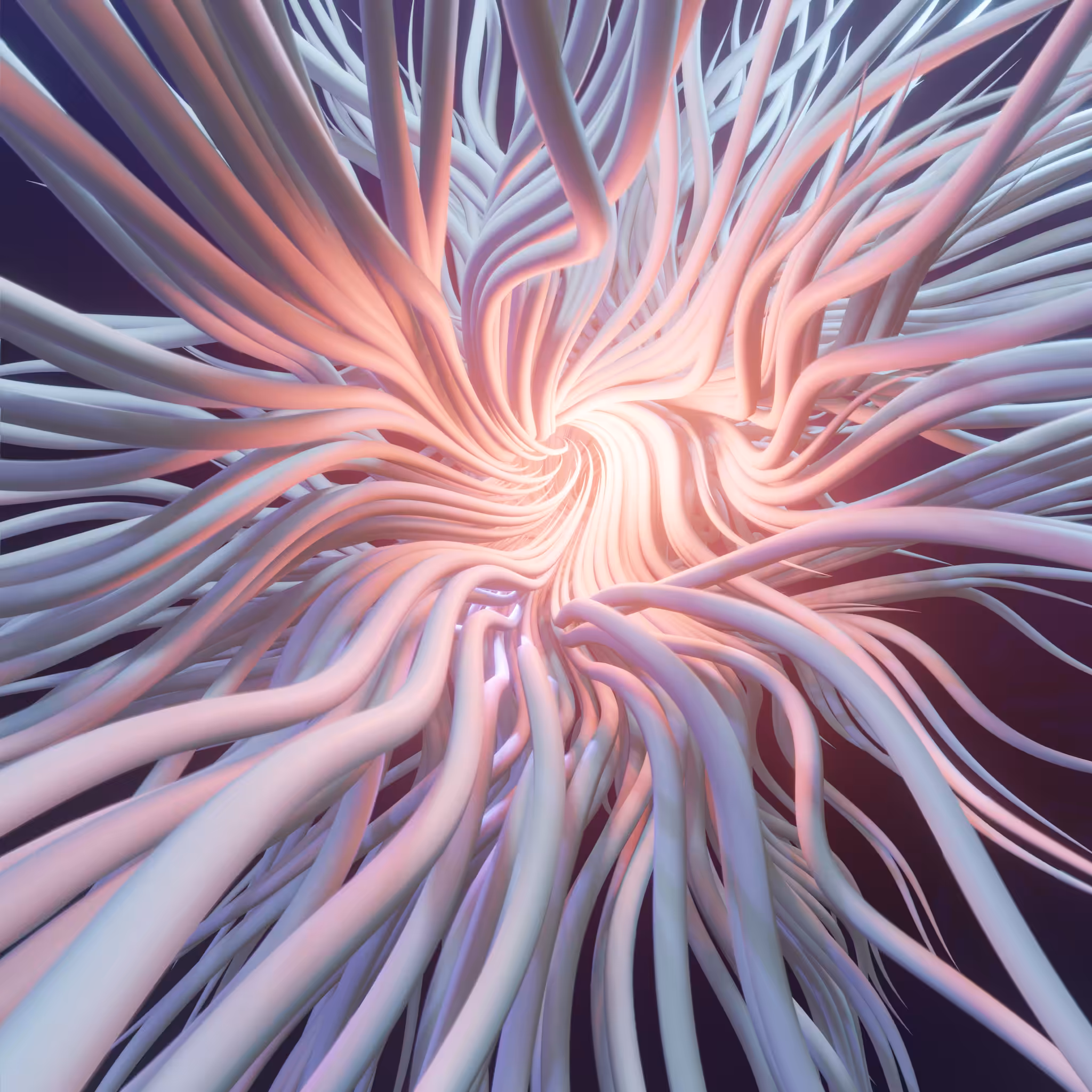 Wide Thomas Attractor #1