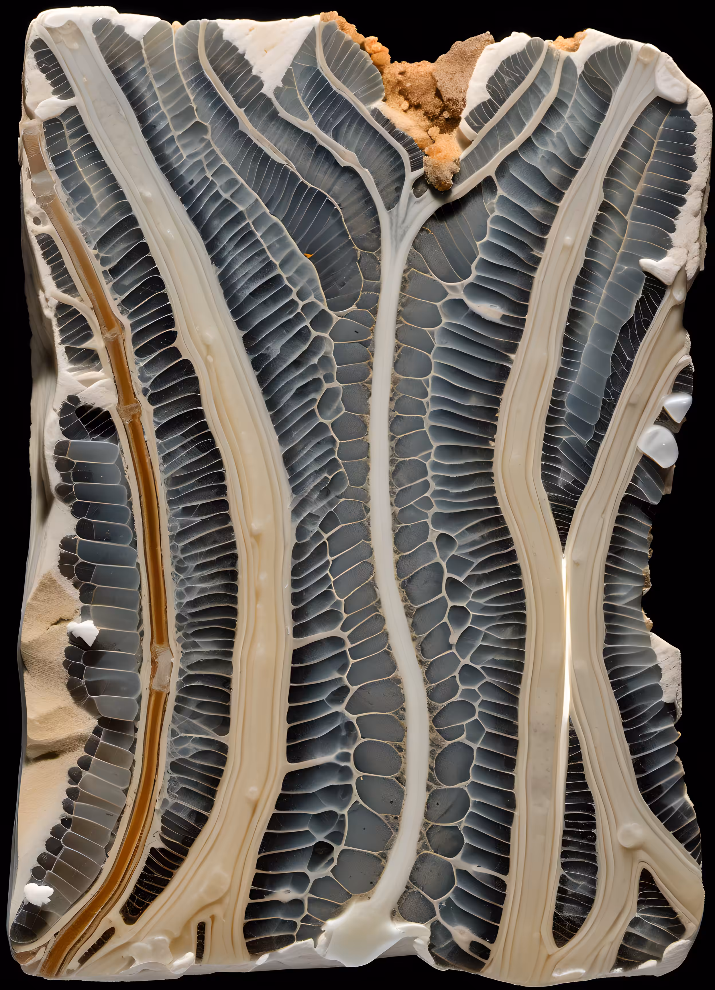 core samples #21