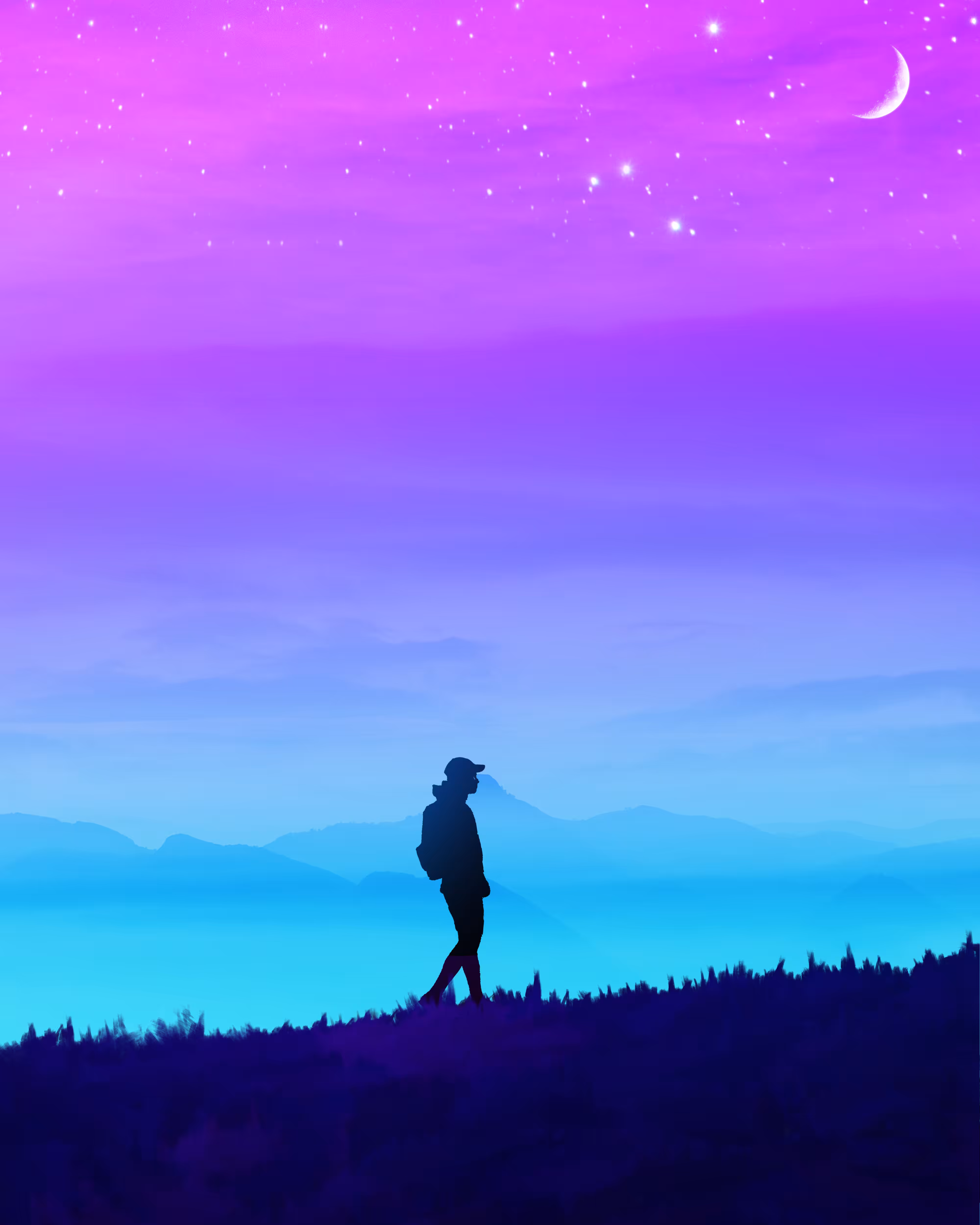 The Travller 