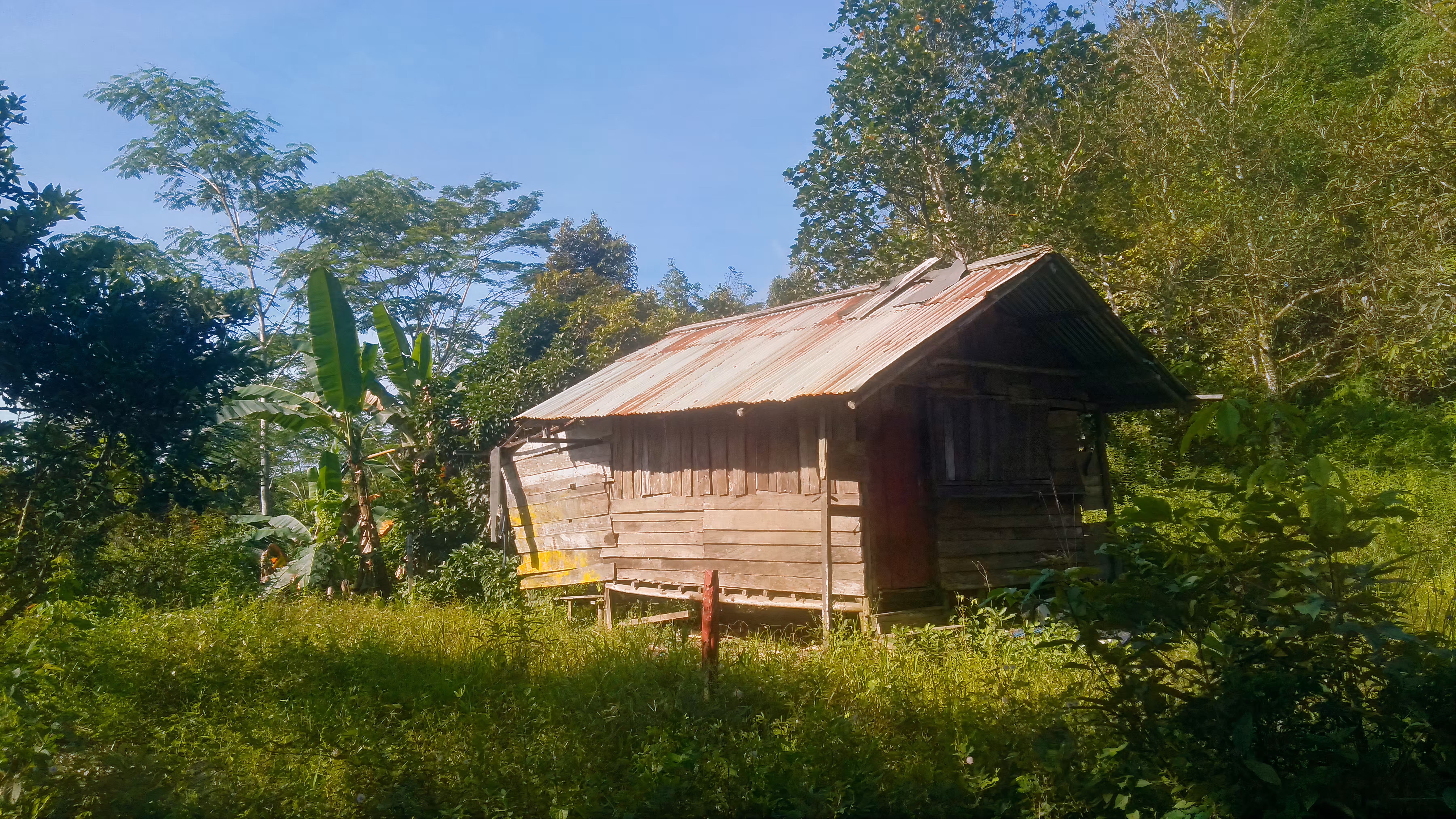 Abandoned Cabin