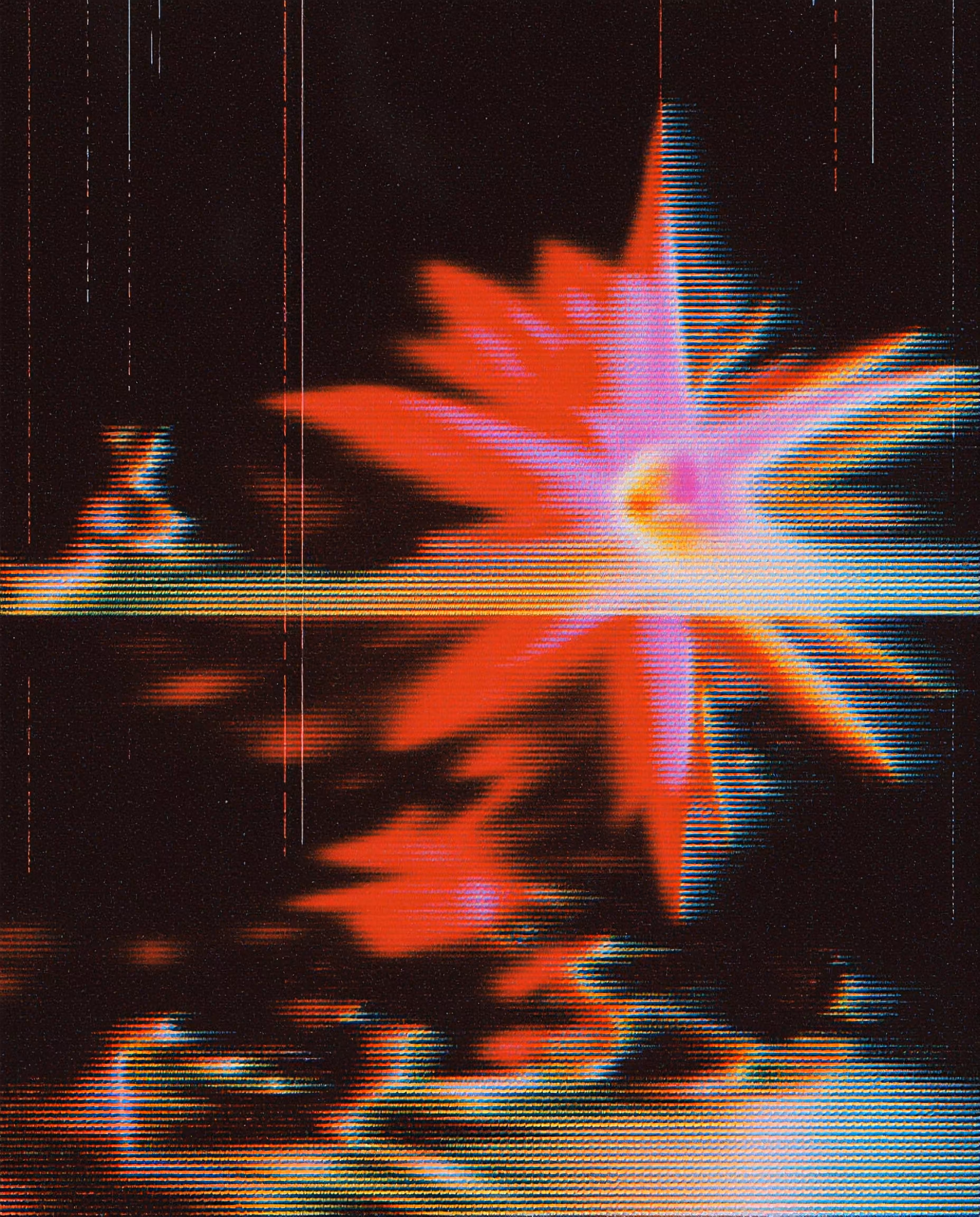 lfdm №2