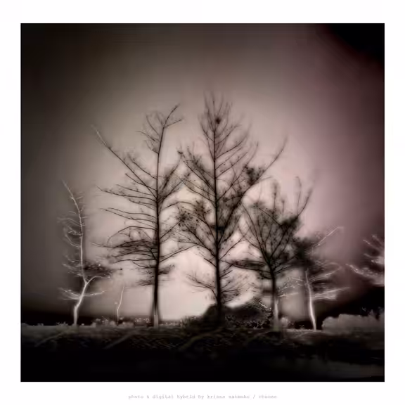 PINE FAMILY