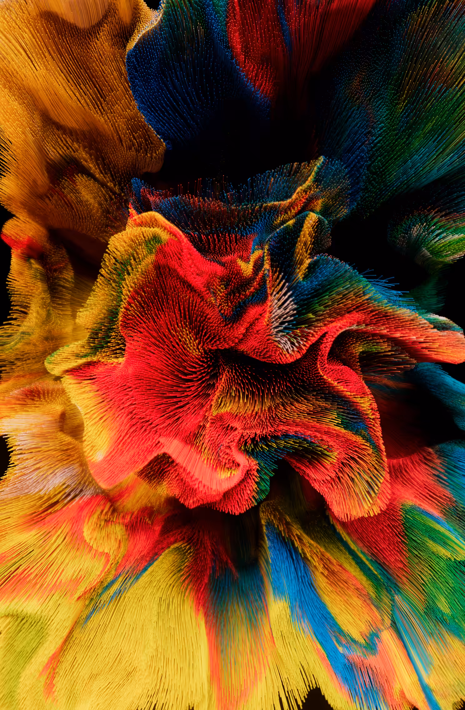 Desert Flower III