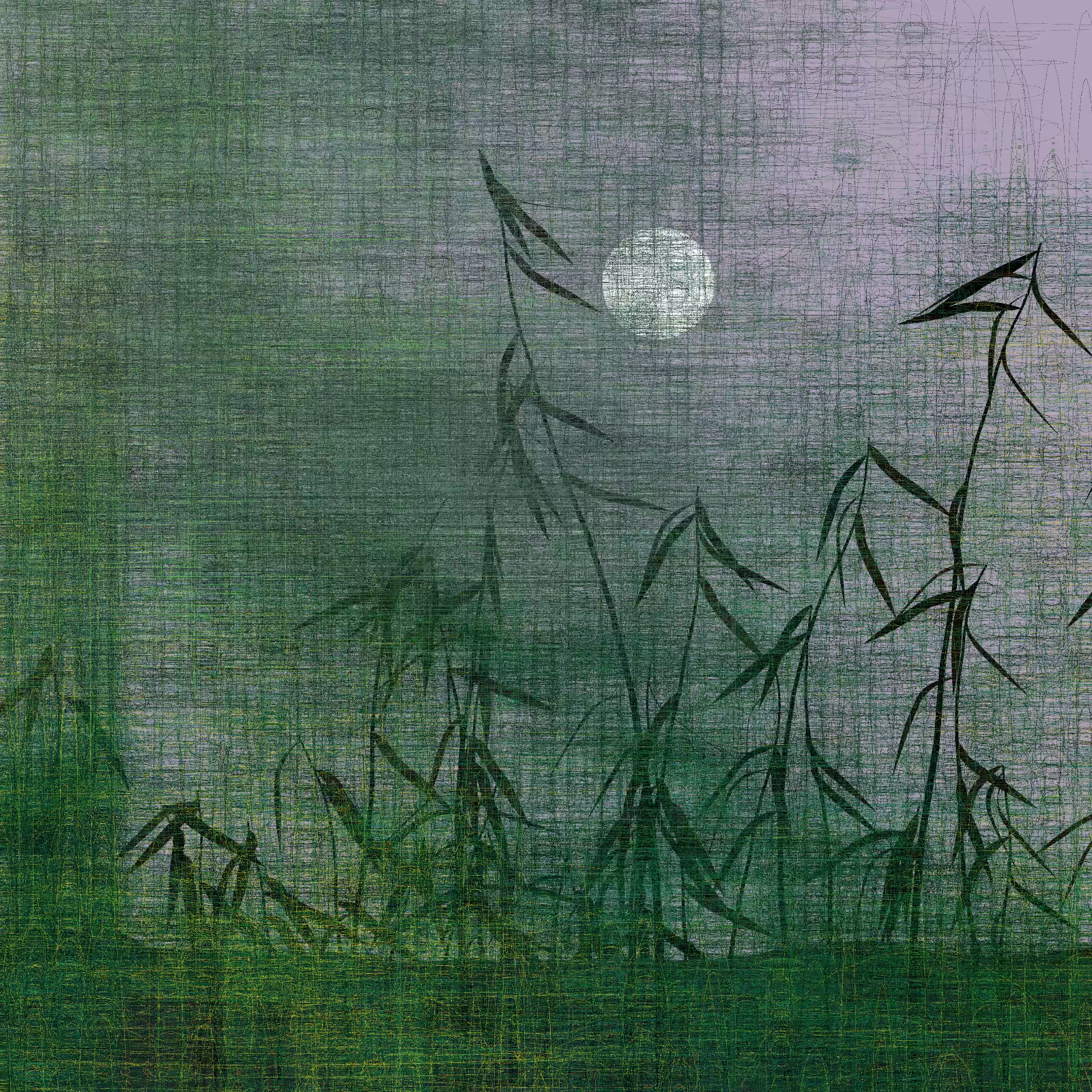 Echoes #77