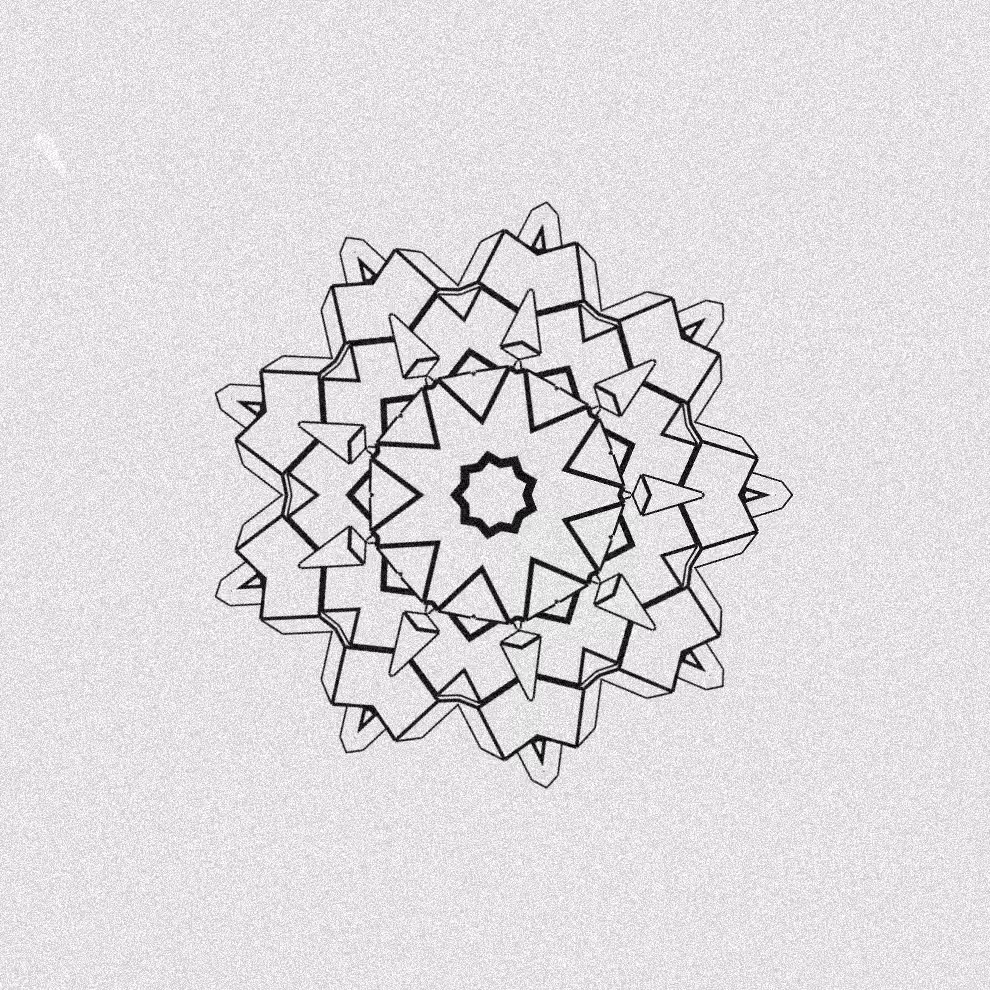 Monochrome Kaleido #314
