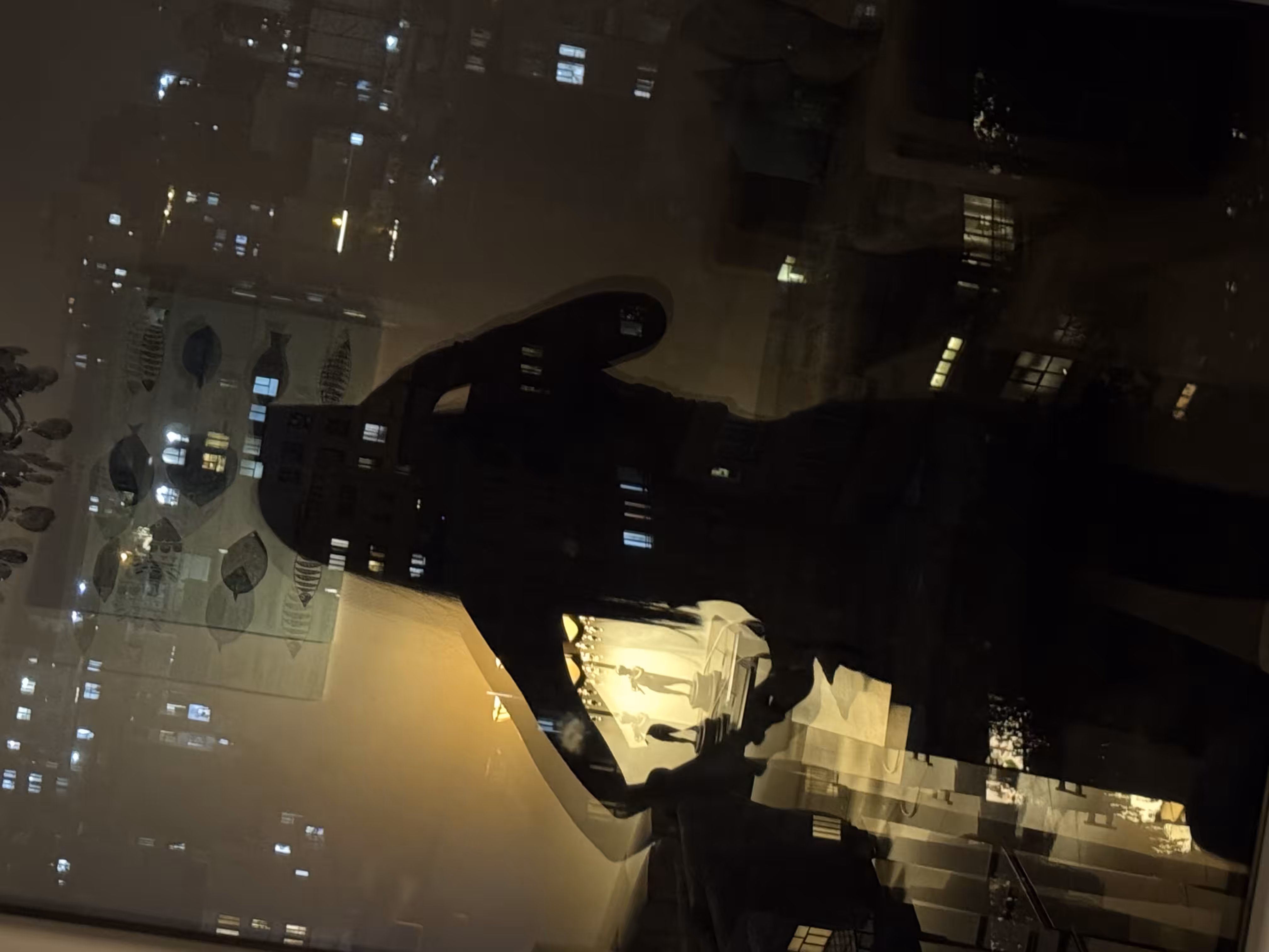 "reflection of self"
