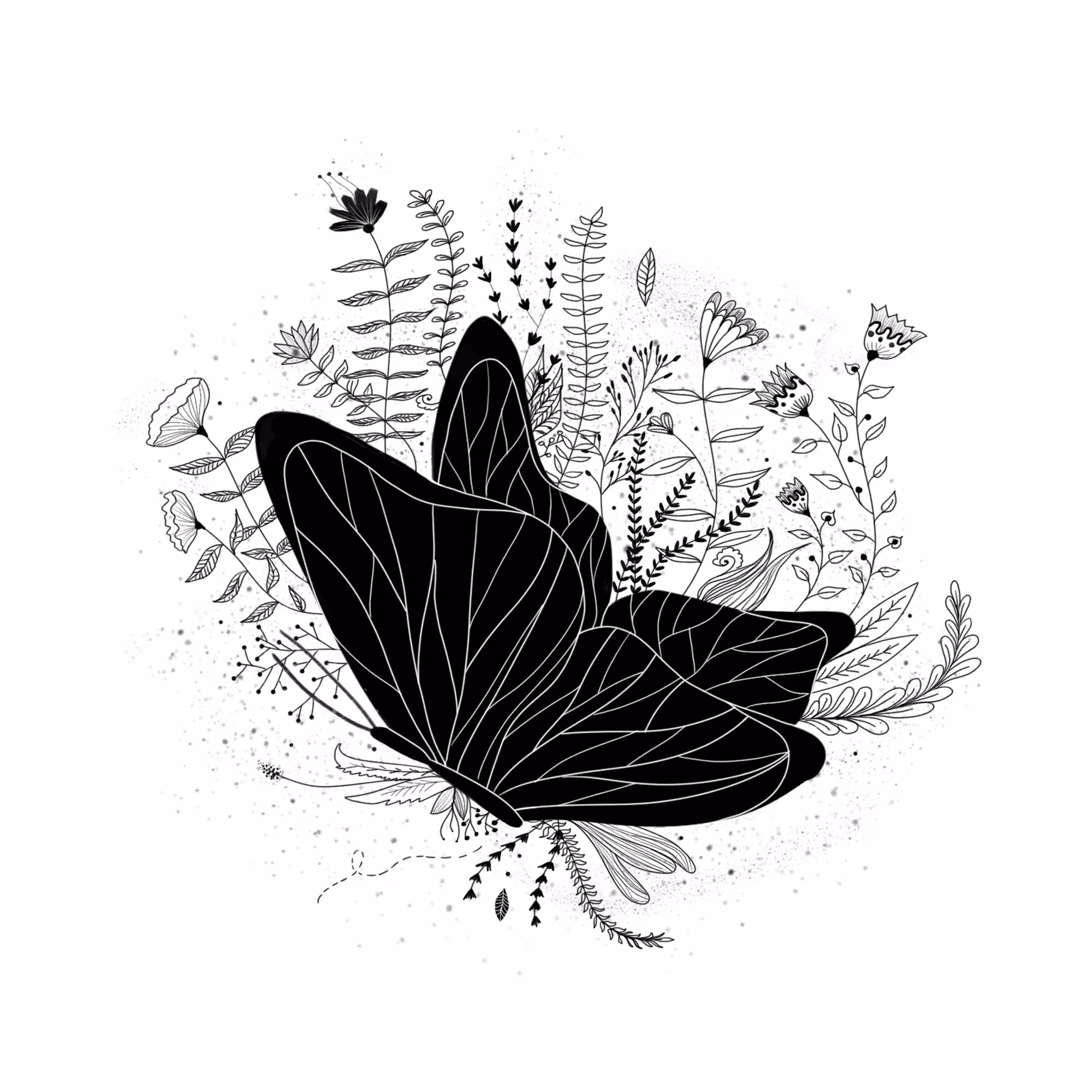 The butterfly