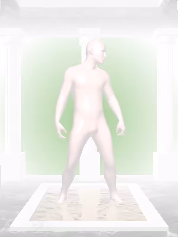 HeavenComputer: The Shooter Peach Blossom Man #5023