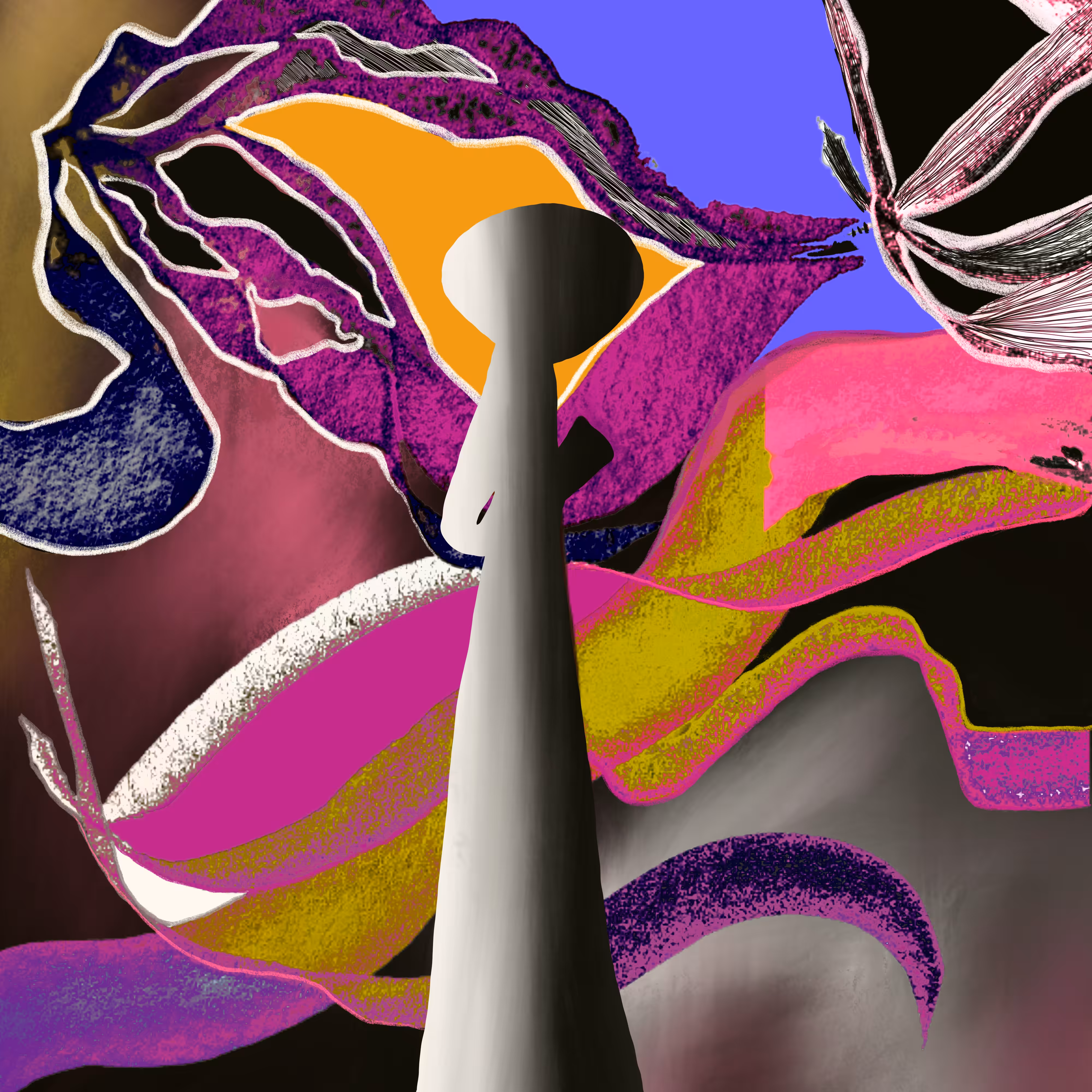 Colors Shapes 