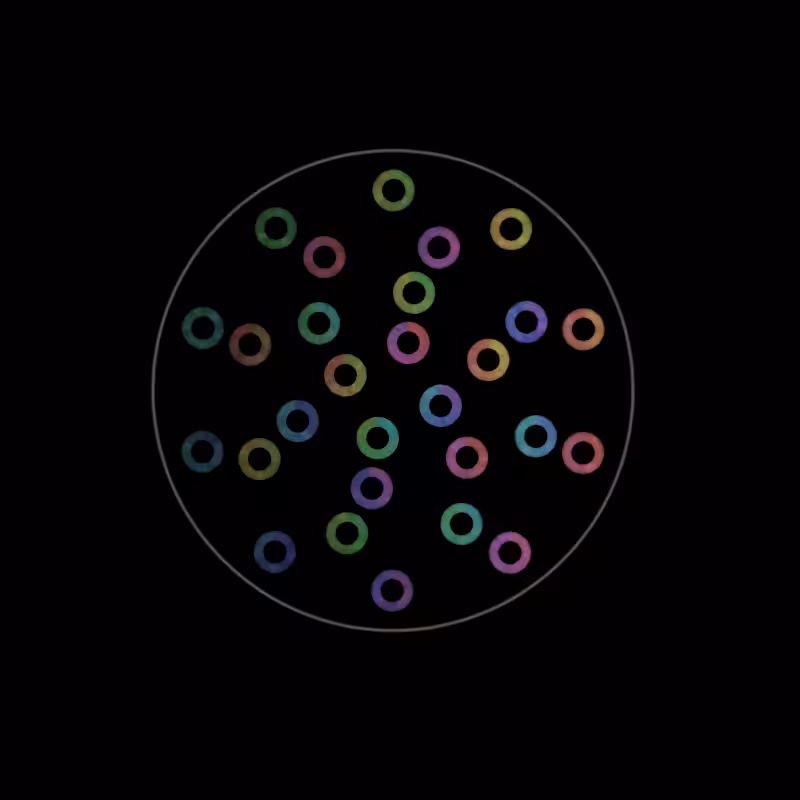 Fluidynamix - Rings #72