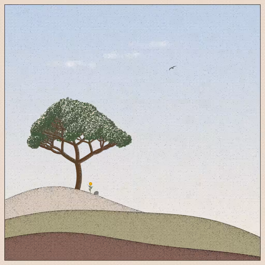 Roots of Time #0