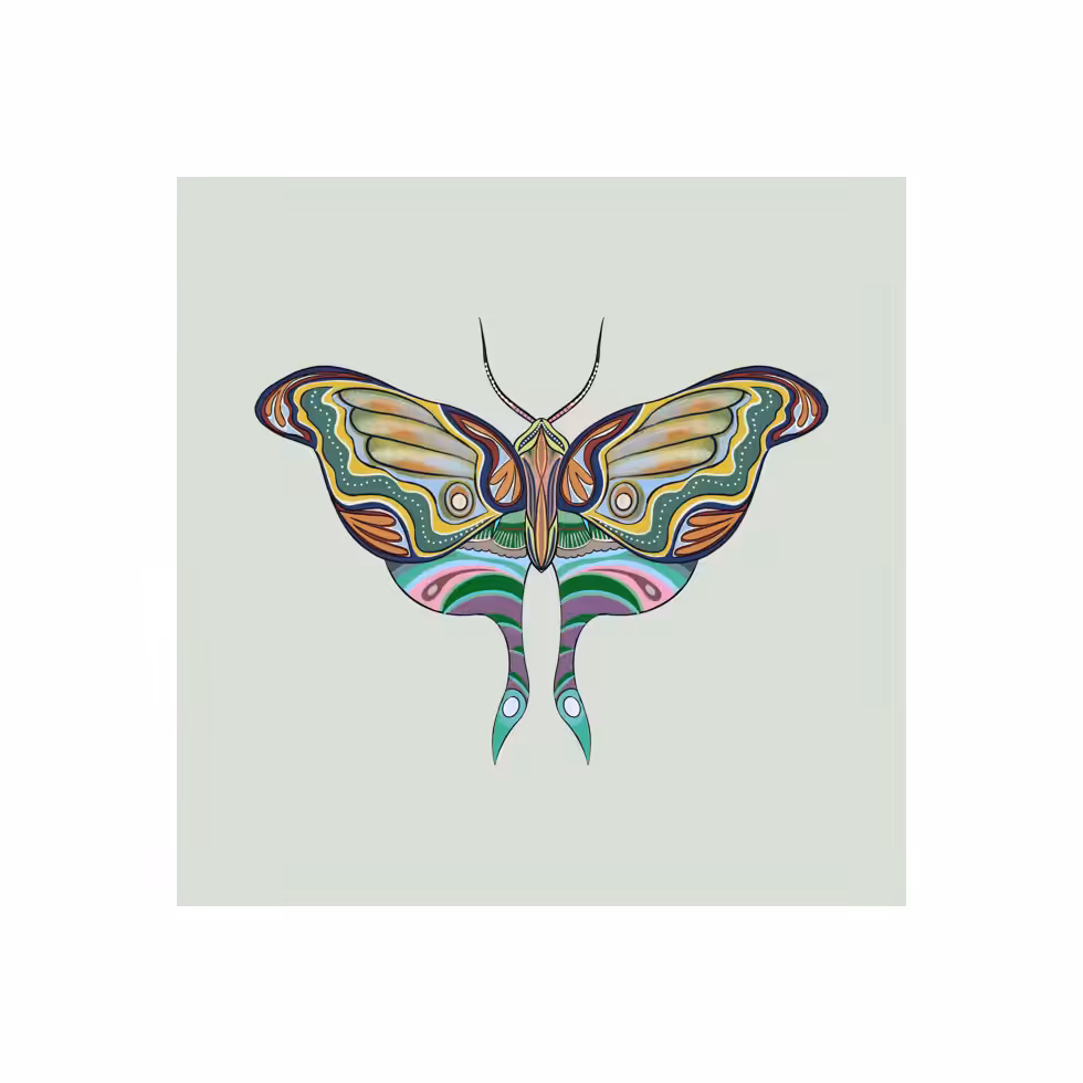 The Moth Experiment #25