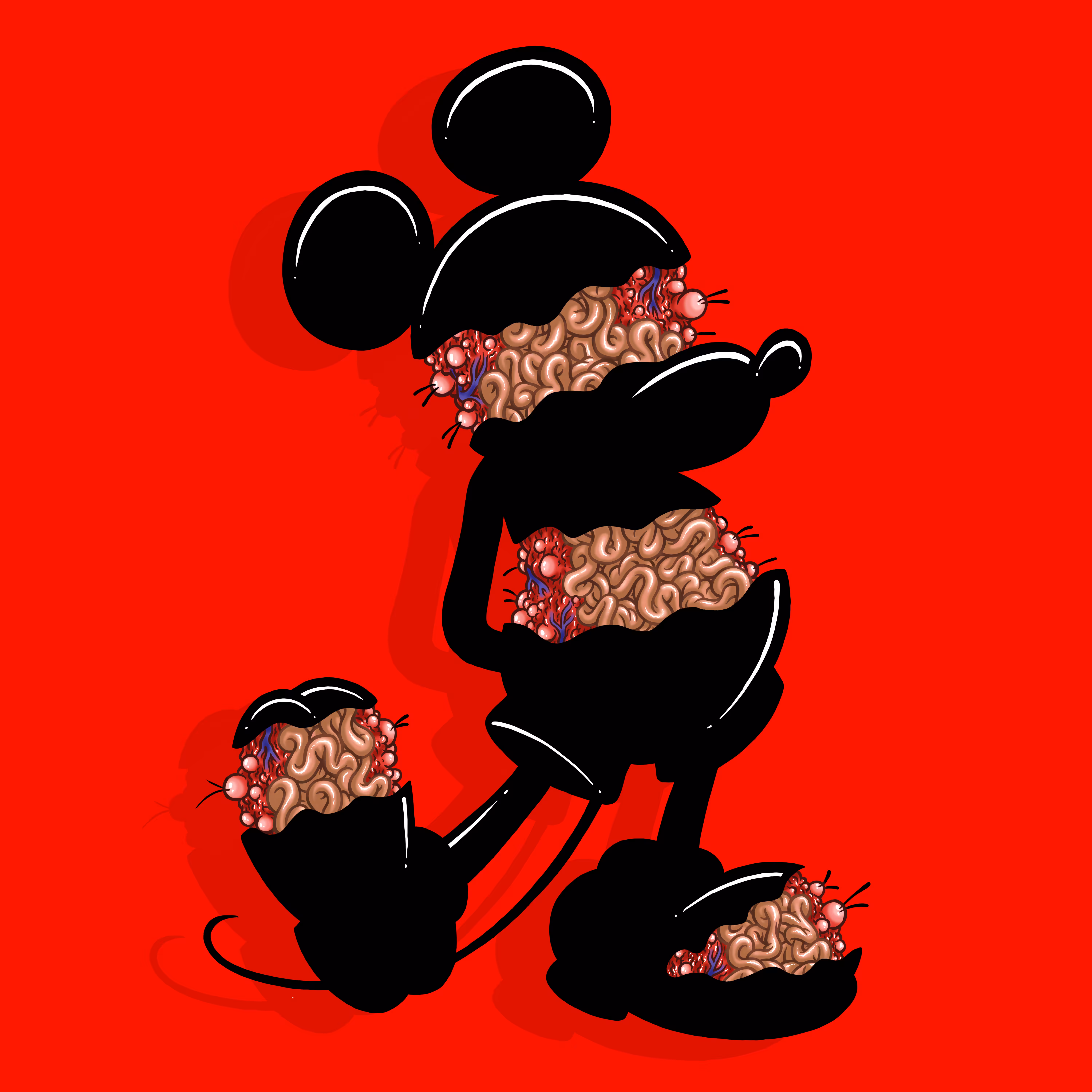 MOUSE GUTS